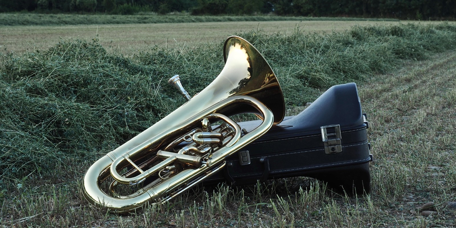 Tuba mit Koffer
