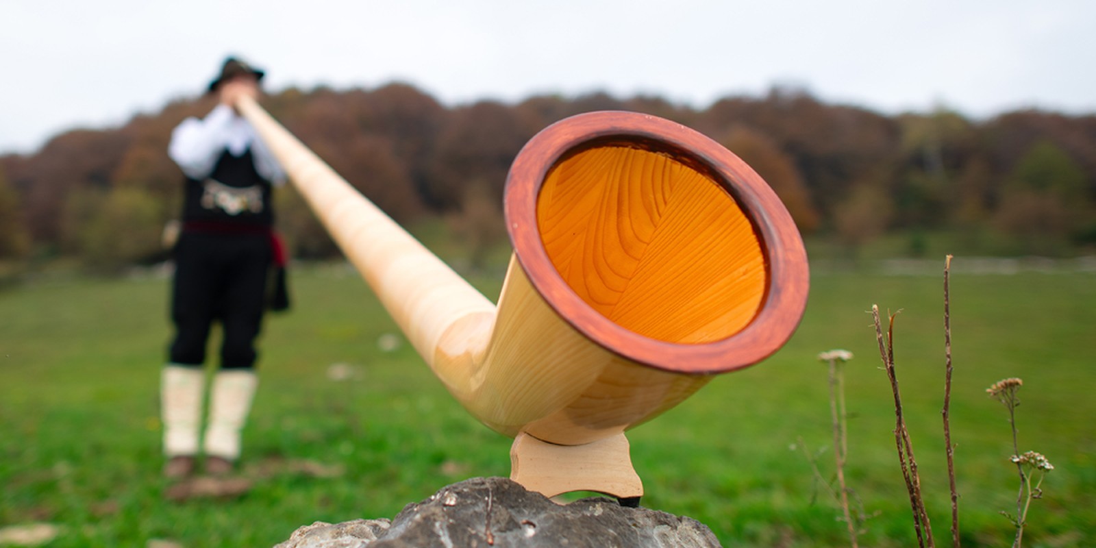 Alphornspieler mit Alphorn