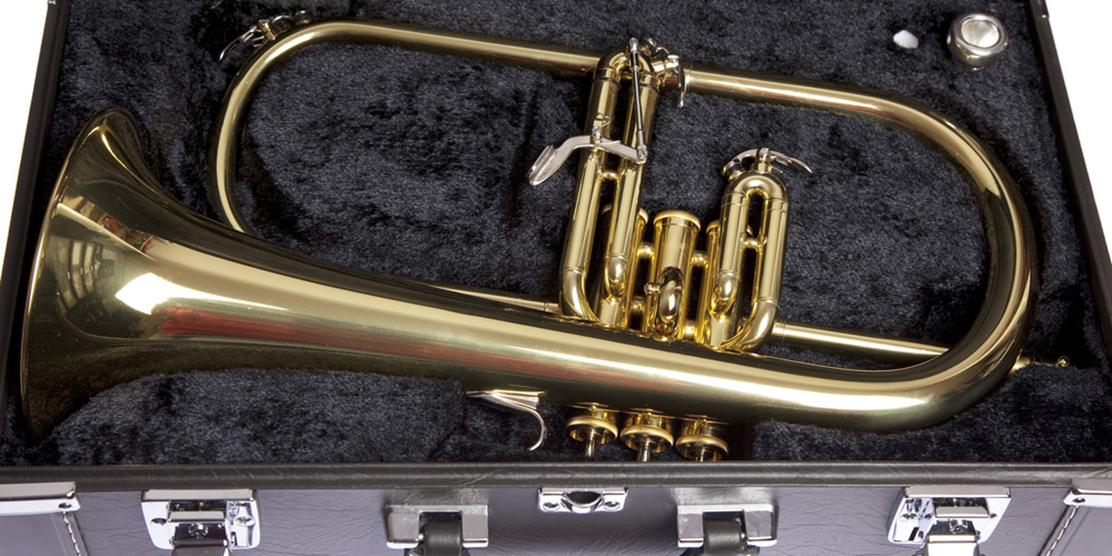 Flügelhorn im Etui