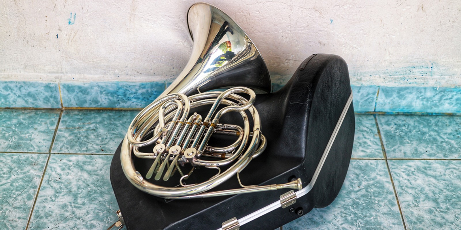 French Horn mit Etui