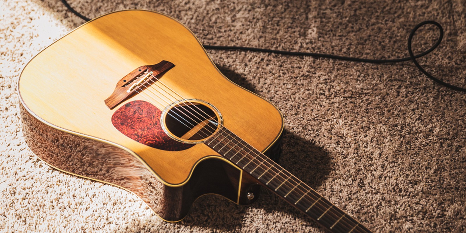 Dreadnought acoustic guitar