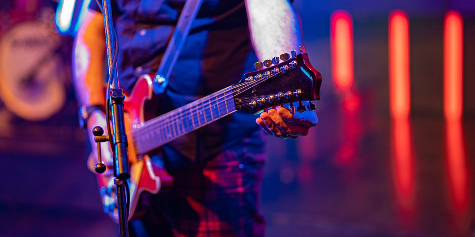 12-saitige E-Gitarre im Bühneneinsatz