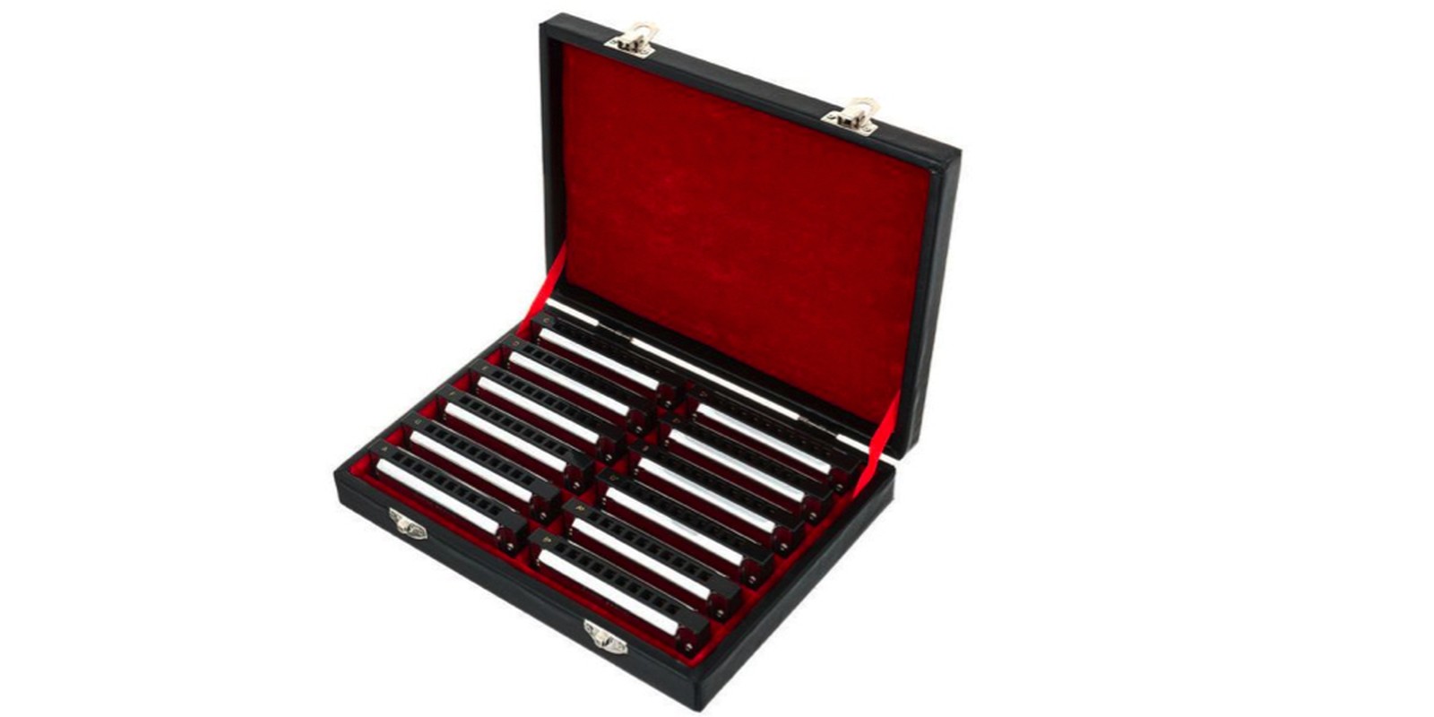 Harley Benton Blues Harp Set
