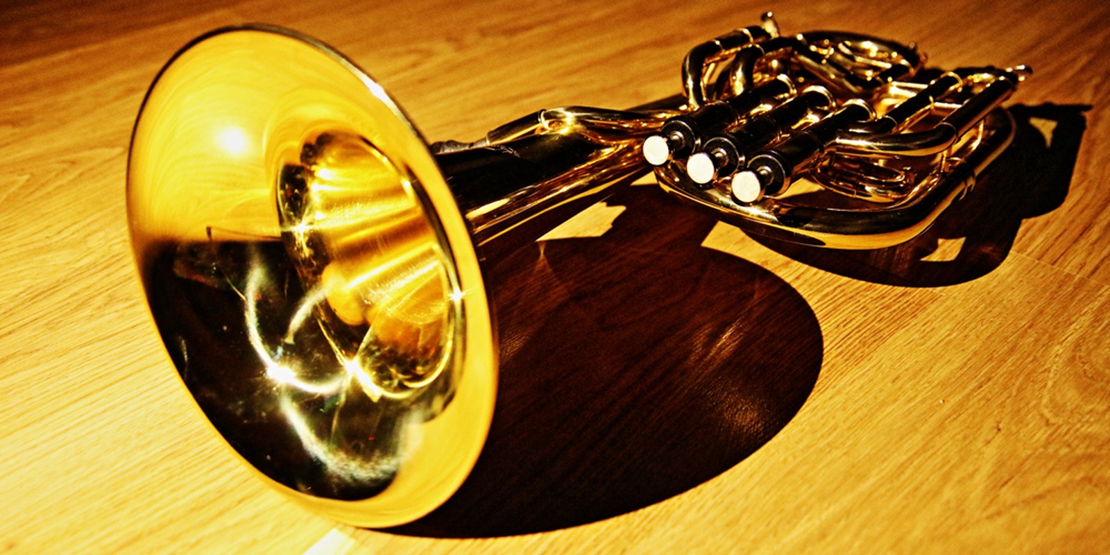 Tenorhorn auf einem Tisch