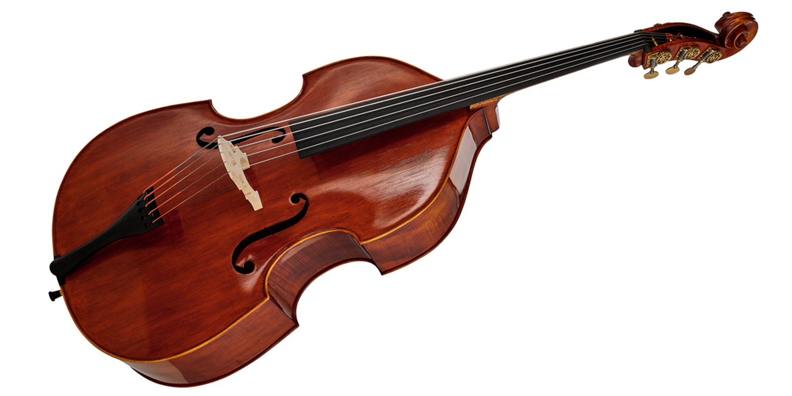 Scala Vilagio Double Bass Gamba 5-Str. Kontrabass