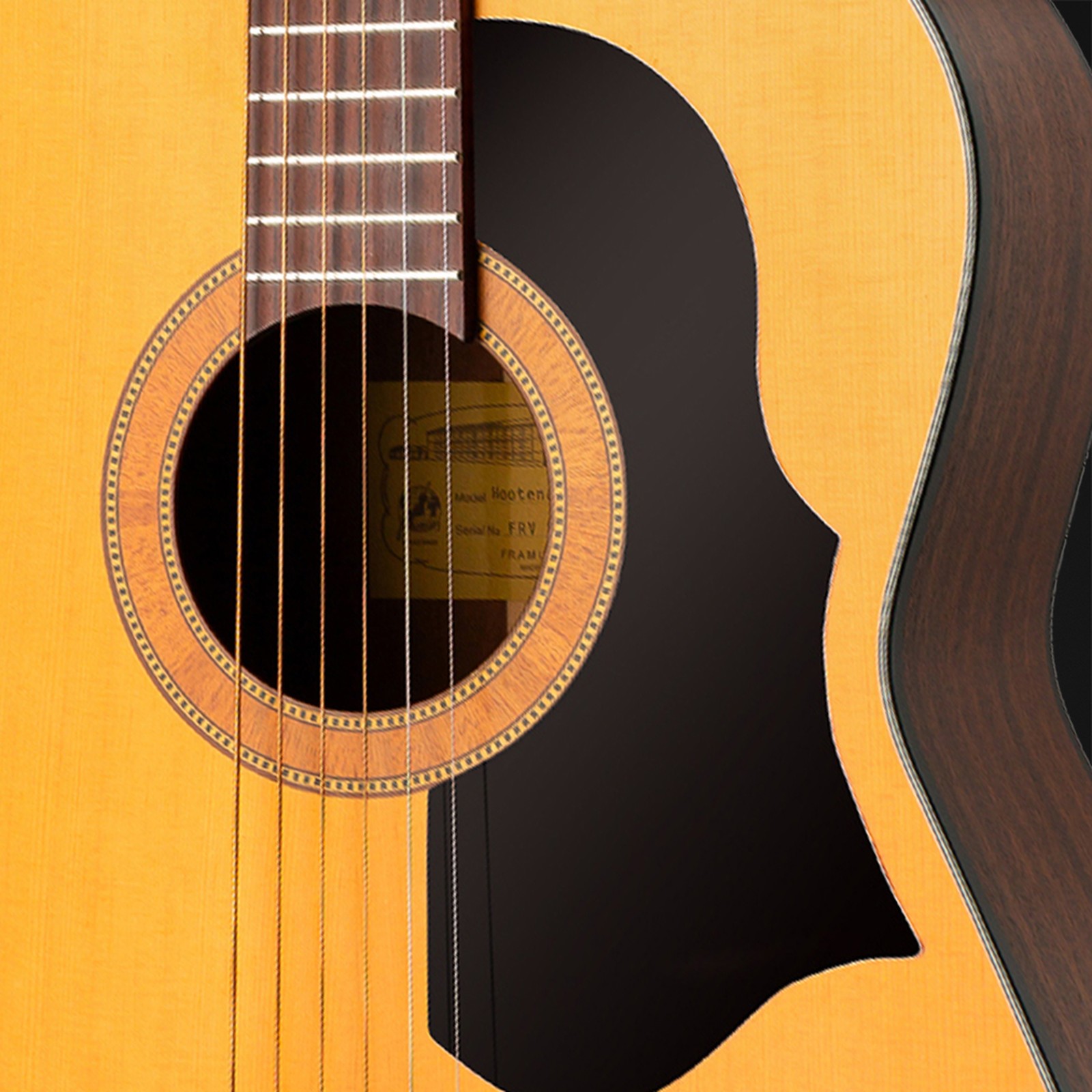 Schallloch der Framus Vintage Hootenanny 6 HP