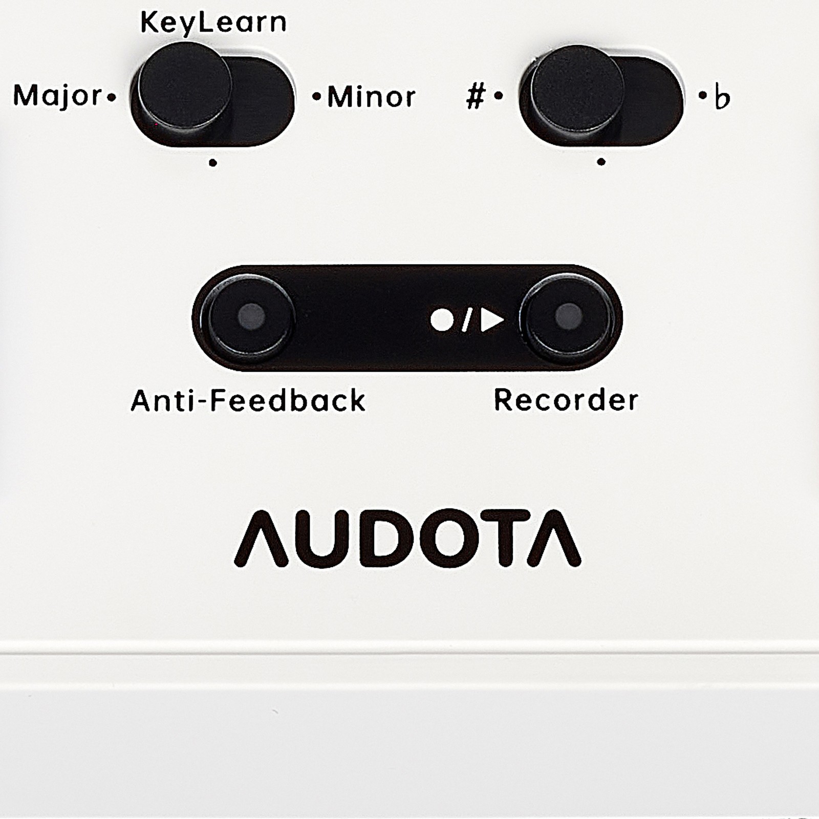 Bedienelemente des Audota AVE-100 Vocal Multi Effects