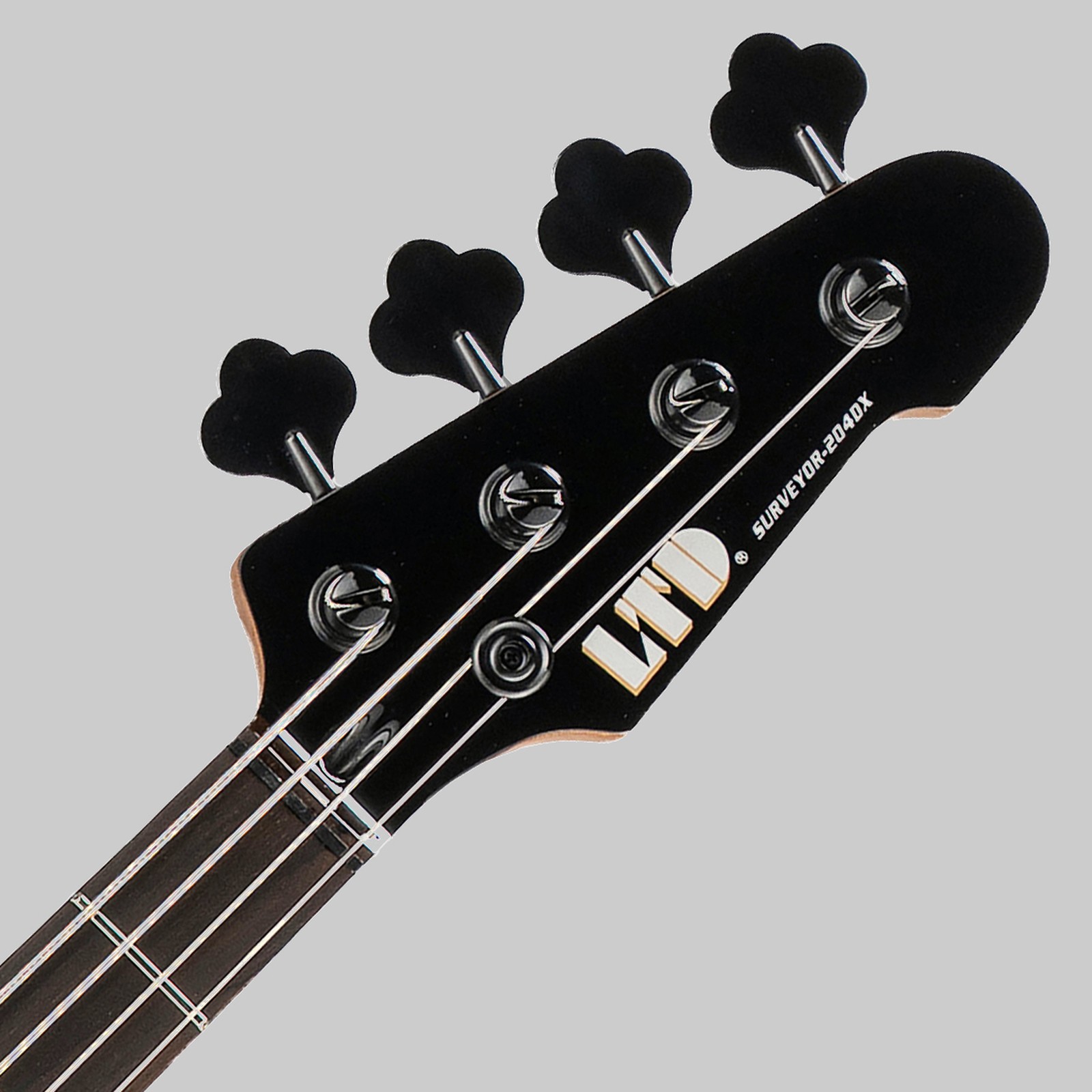 Kopfplatte des ESP LTD Surveyor-204DX RB E-Bass