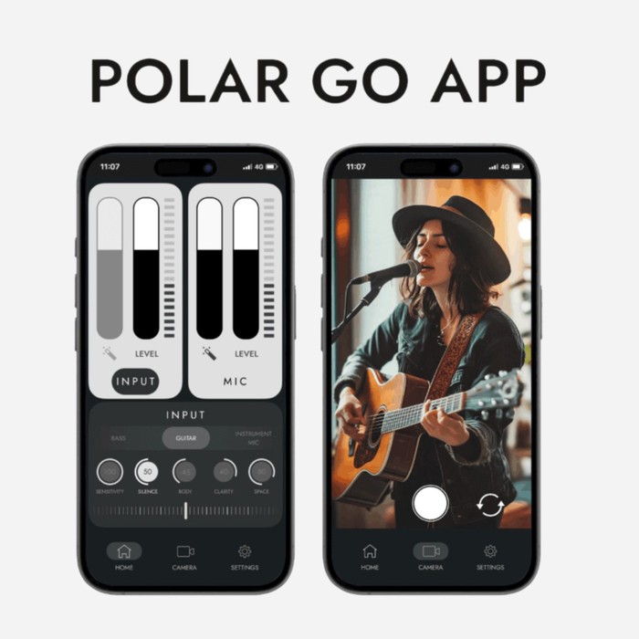 Polar Go App