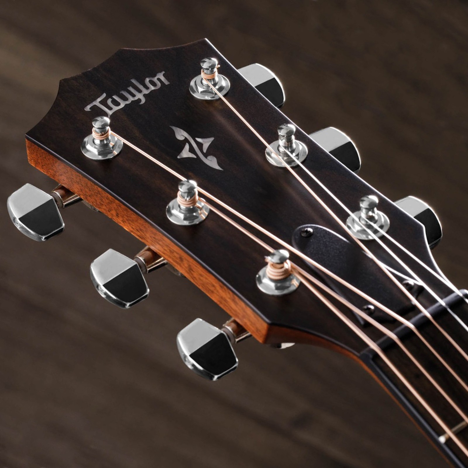 Taylor acoustic guitar headstock