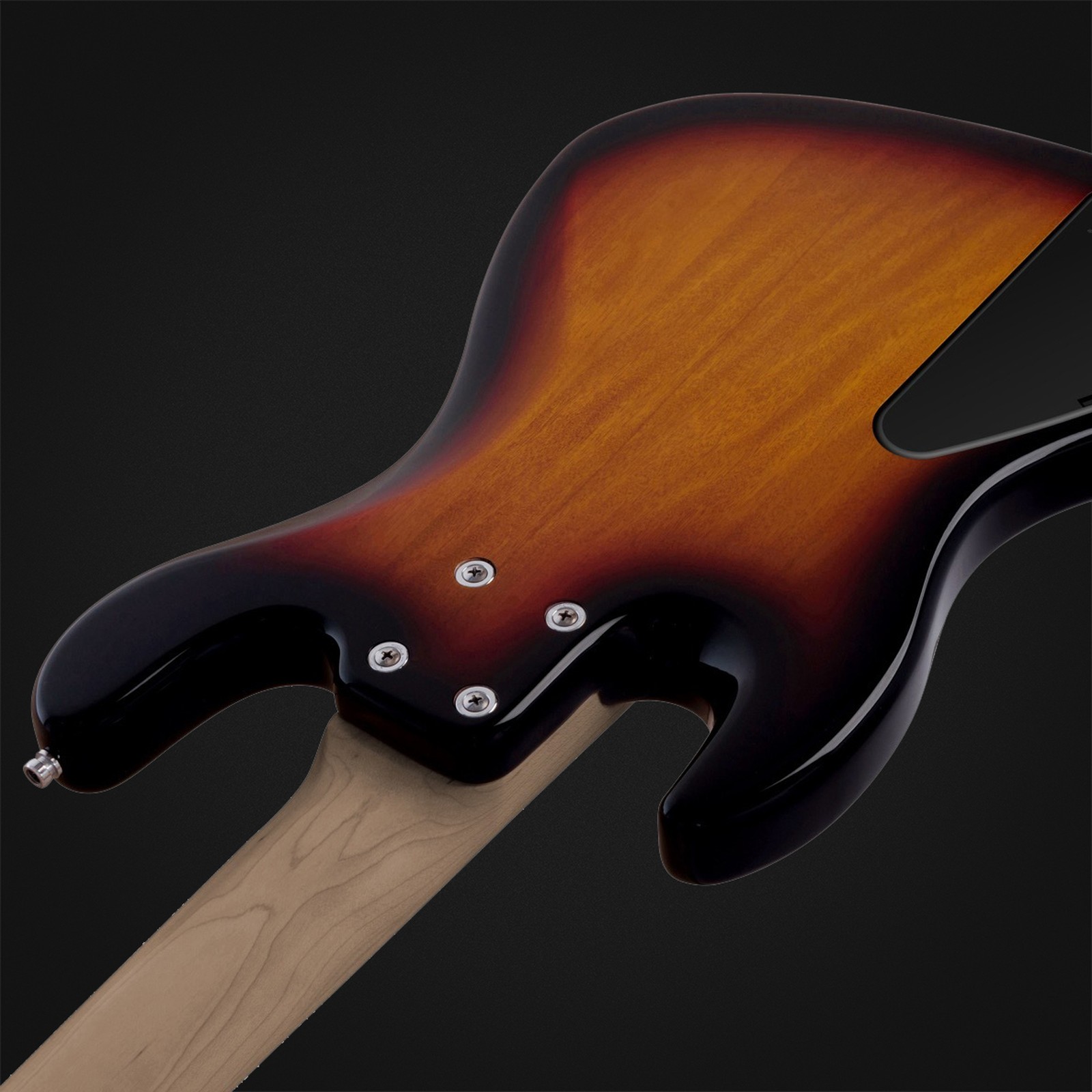 Sadowsky MetroExpress 21 Vintage JJ5 RM Tobacco Sunburst, five-string bass guitar, rear view