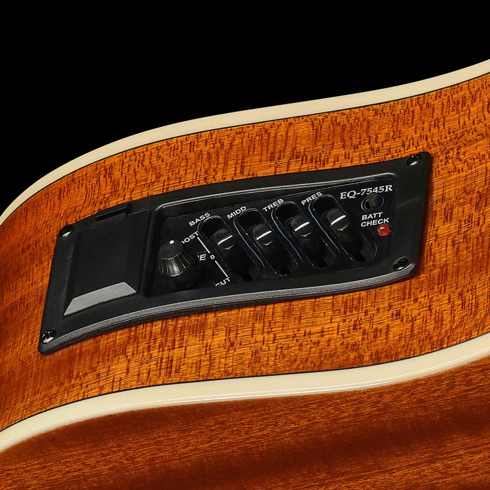 Preamp on the Harley Benton D-120CE VS Acoustic Guitar