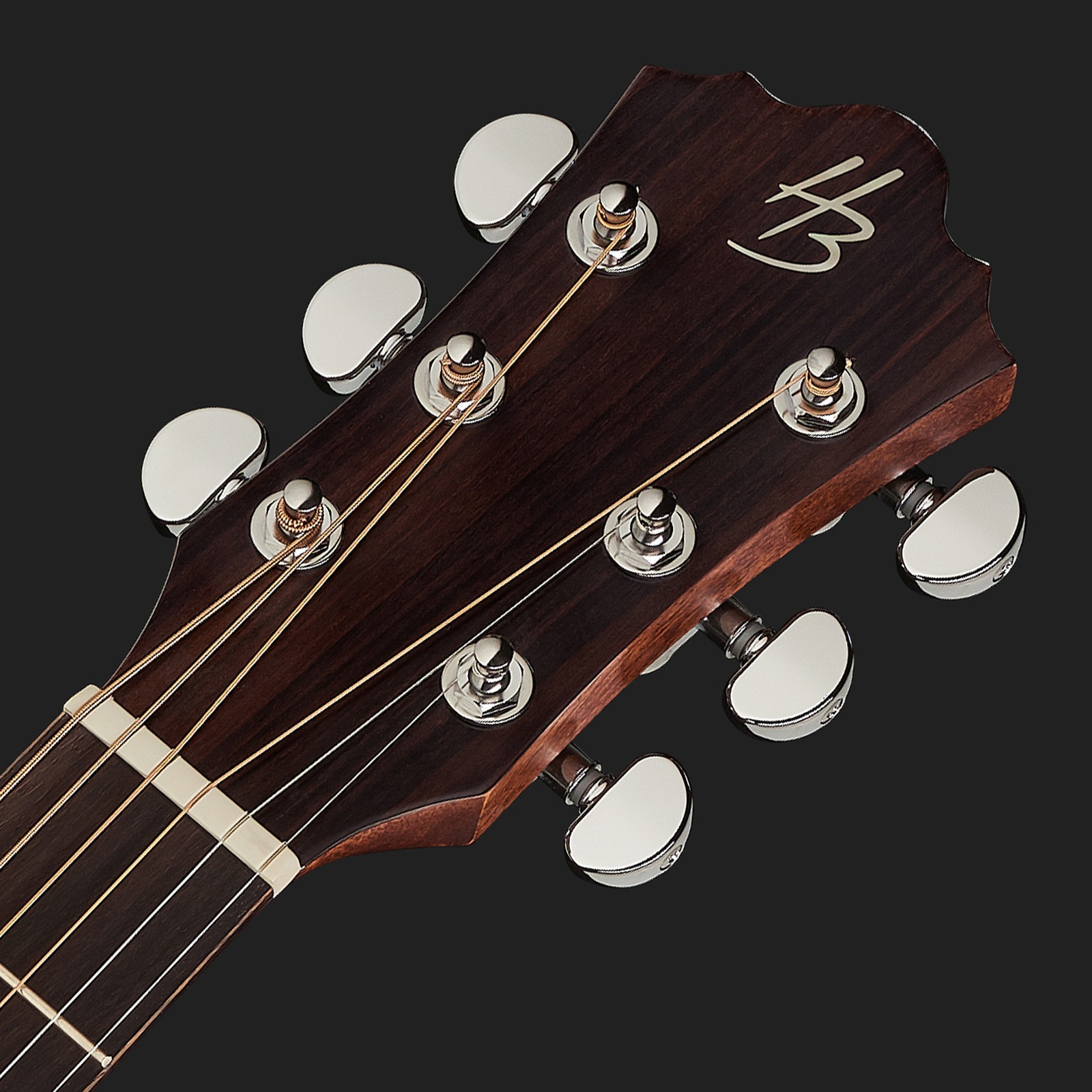 Harley Benton acoustic guitar headstock with HB logo