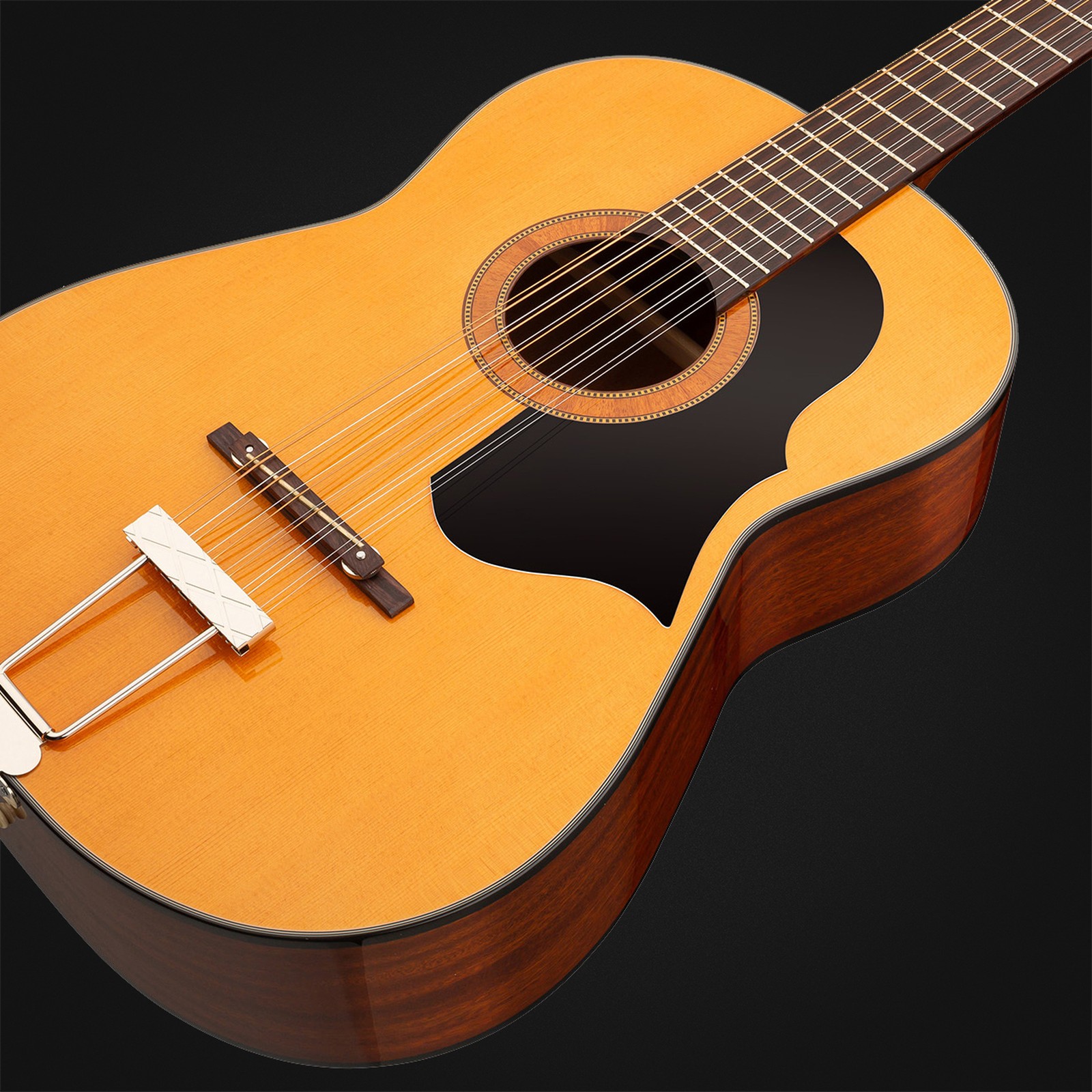 Table de la Framus Vintage Hootenanny 12 TN