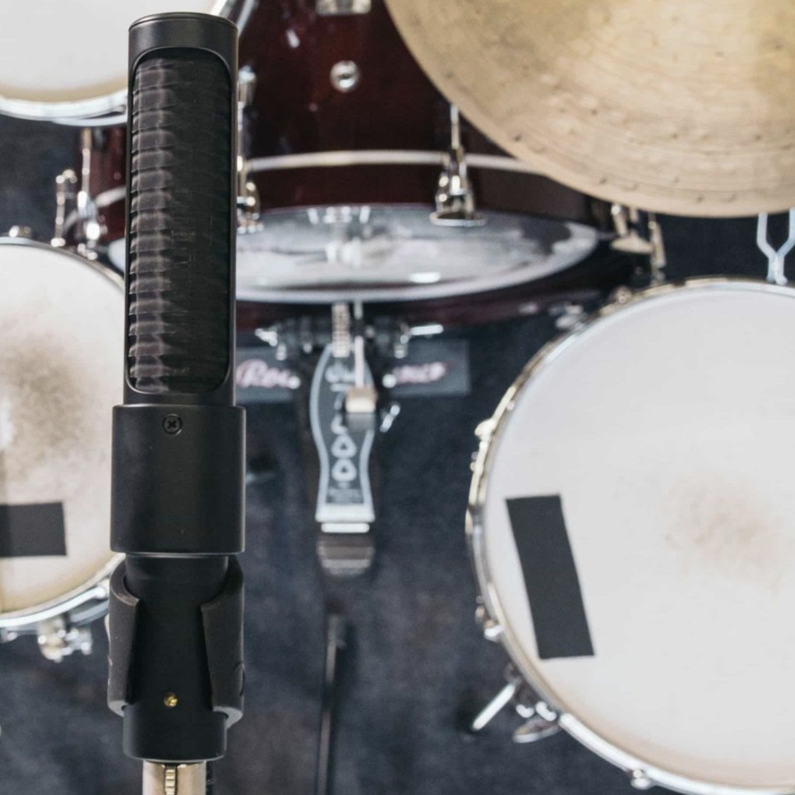 Microphone à ruban actif AEA N8 NUVO