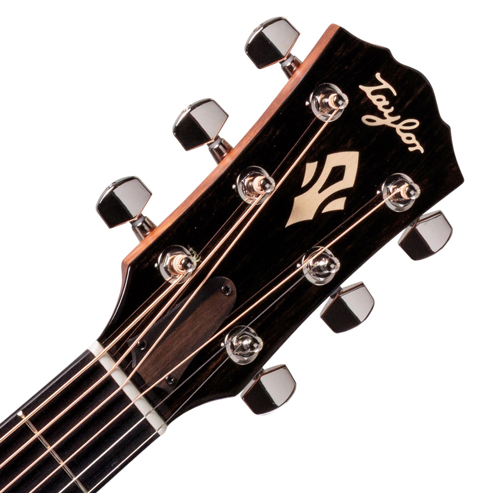 Taylor Gold Label 717e Sunburst Cream, acoustic steel-string, headstock
