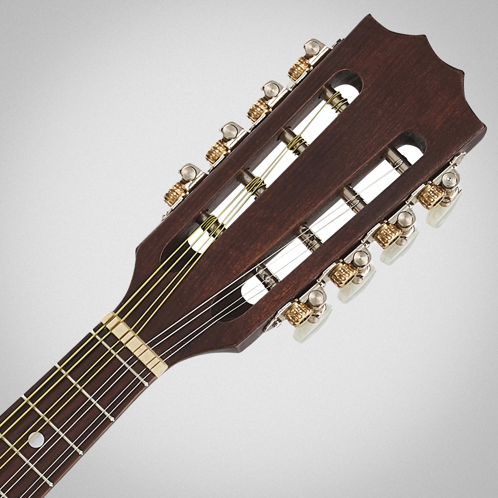 Kopfplatte der Thomann Portuguese Mandolin 1A-P