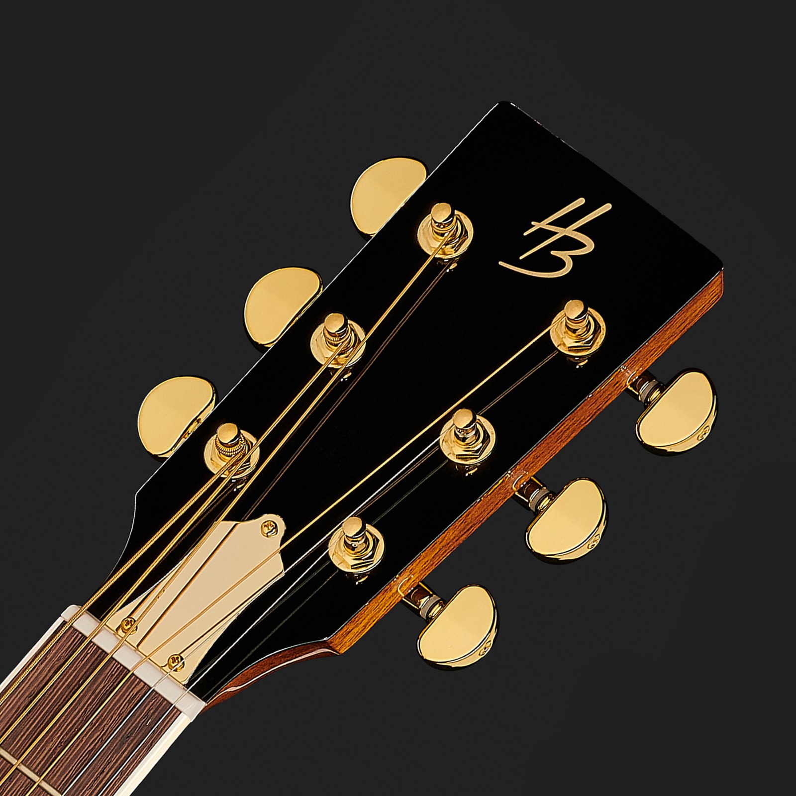 Primo piano del Harley Benton Custom Line CLR-ResoElectric Chitarra resofonica in Mi