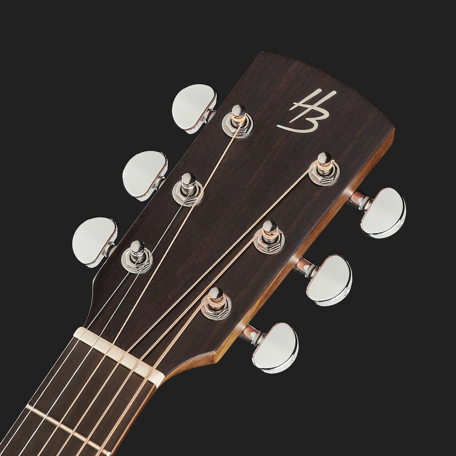 steel string guitar headstock with d'Addario strings