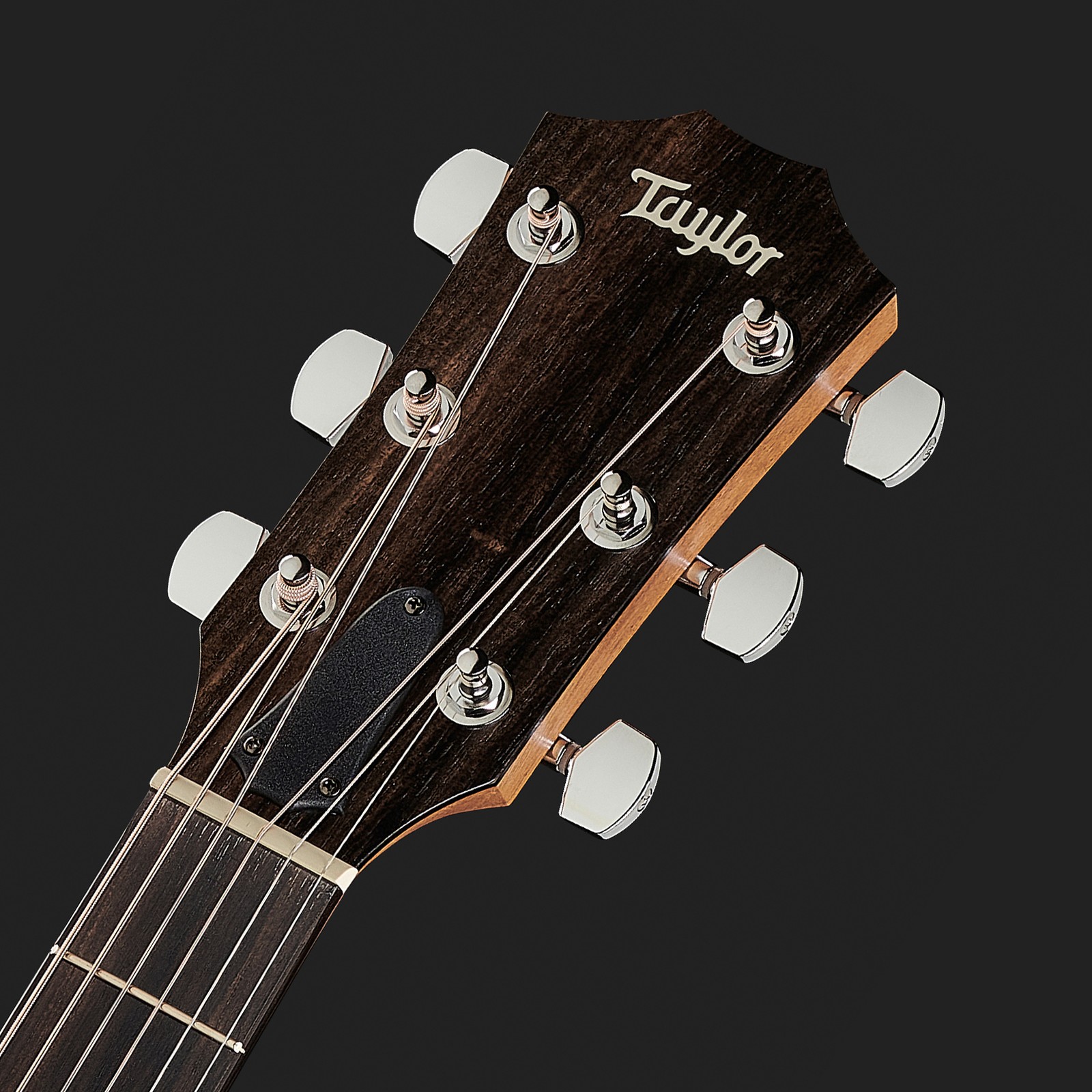 Taylor 214ce Koa, headstock