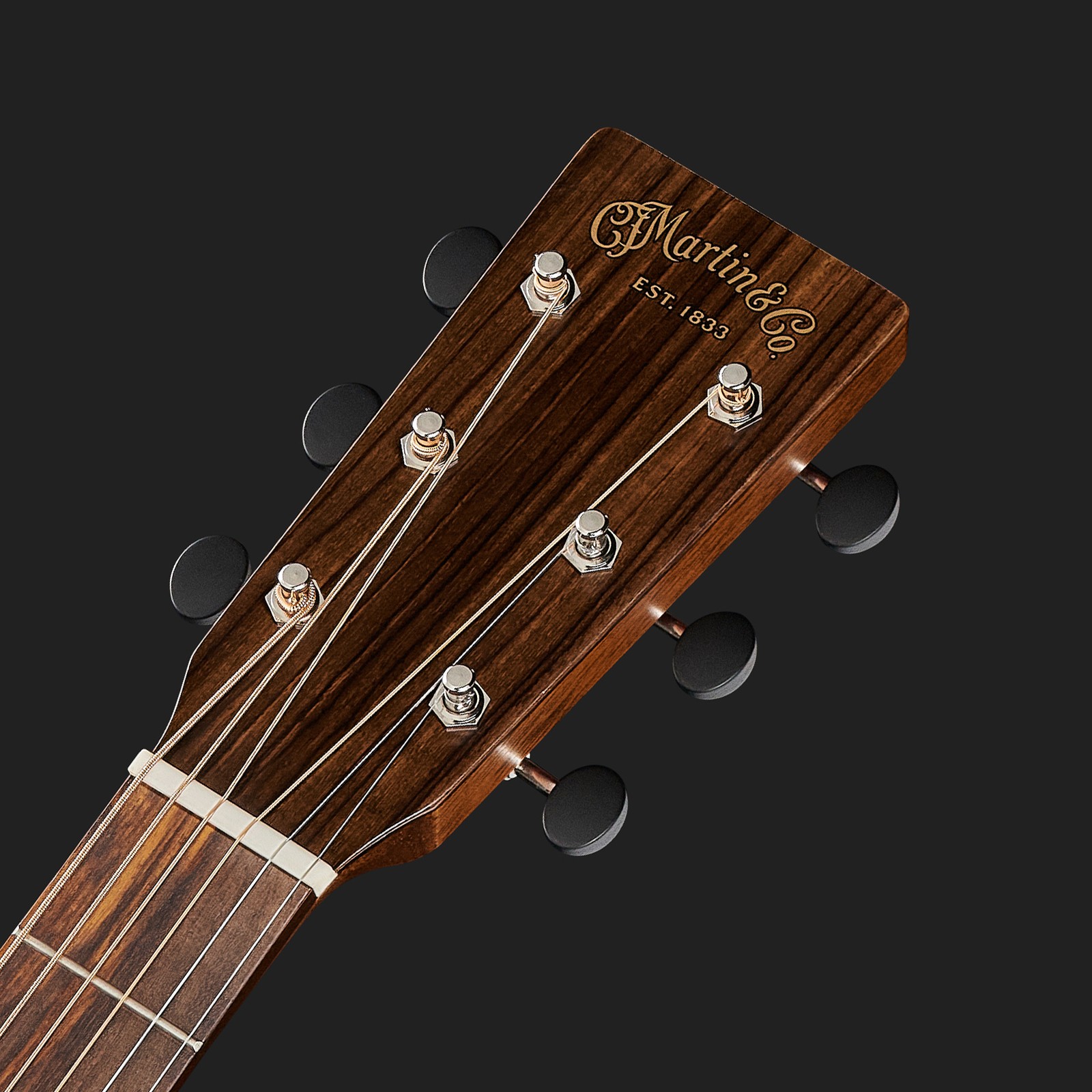 Martin Guitars headstock