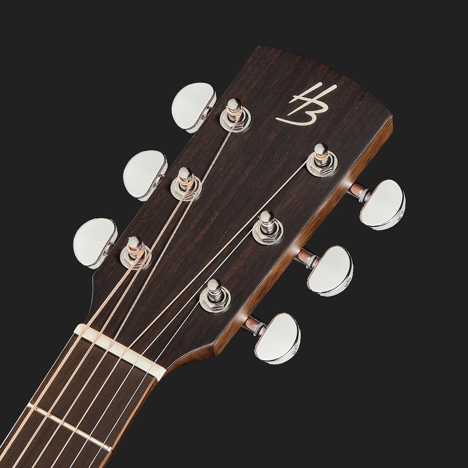 steel string acoustic guitar headstock