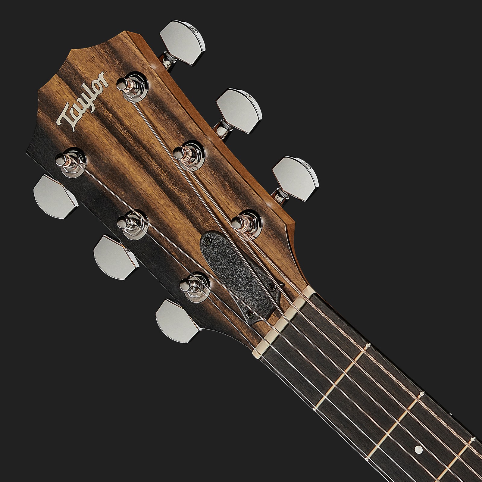 Taylor Kopfplatte