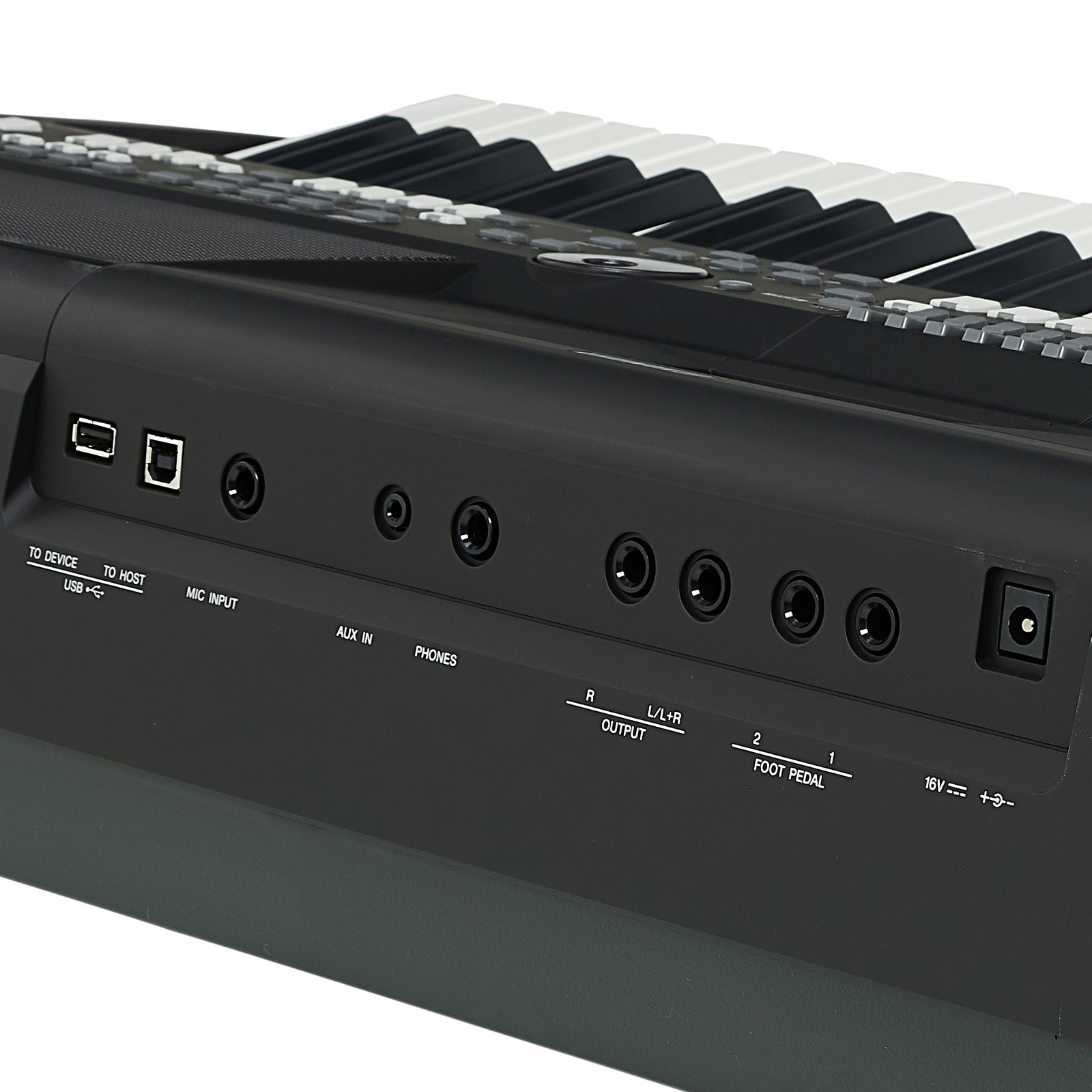 Ingressi posteriori della Yamaha PSR-SX600