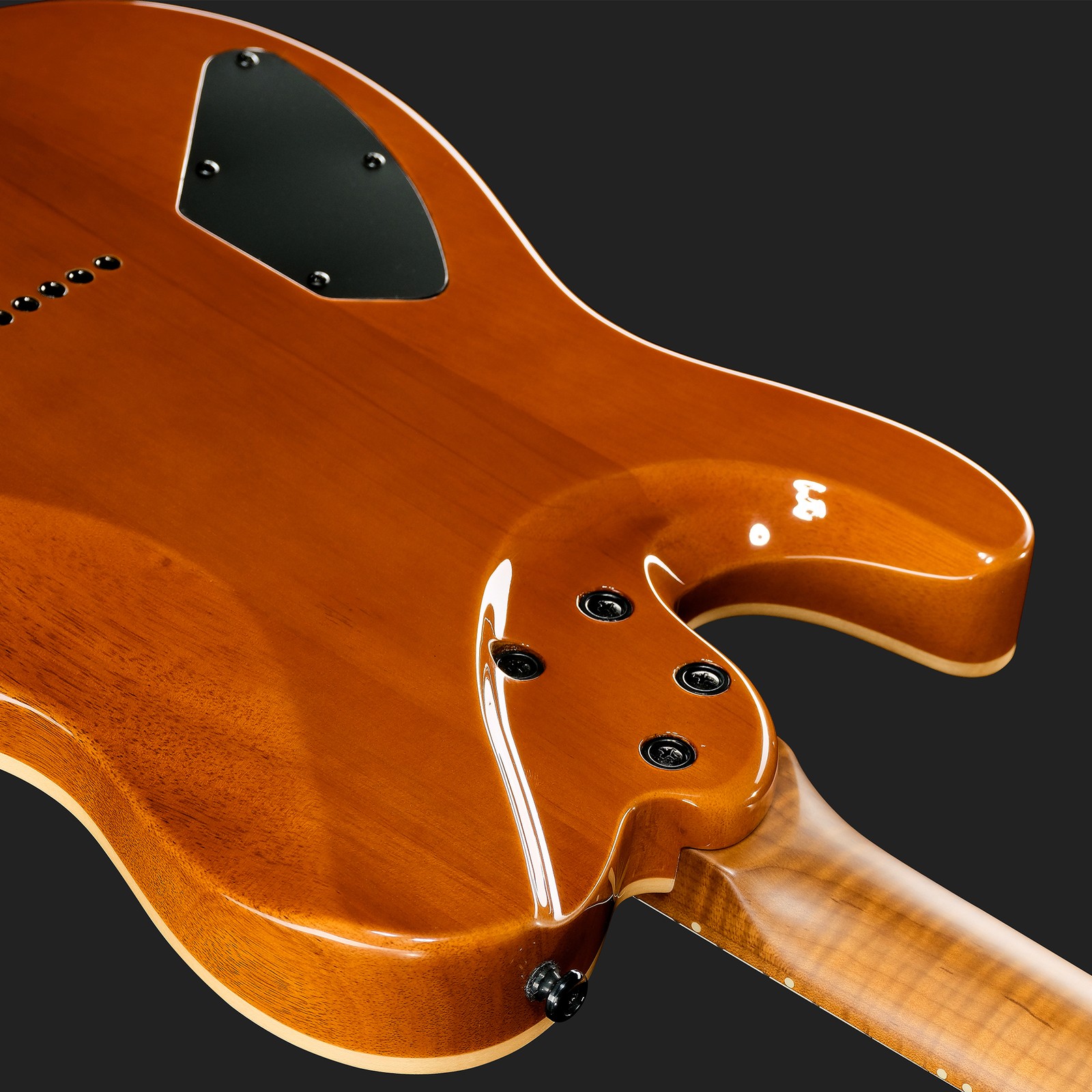 Rückseite der Harley Benton Fusion-T II HH MN HT BM