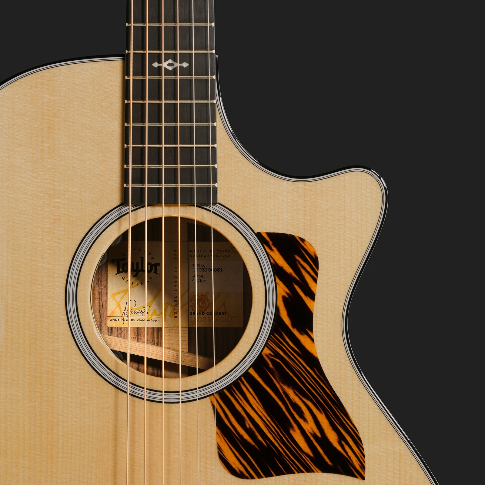 Decke der Taylor 412ce Next Generation