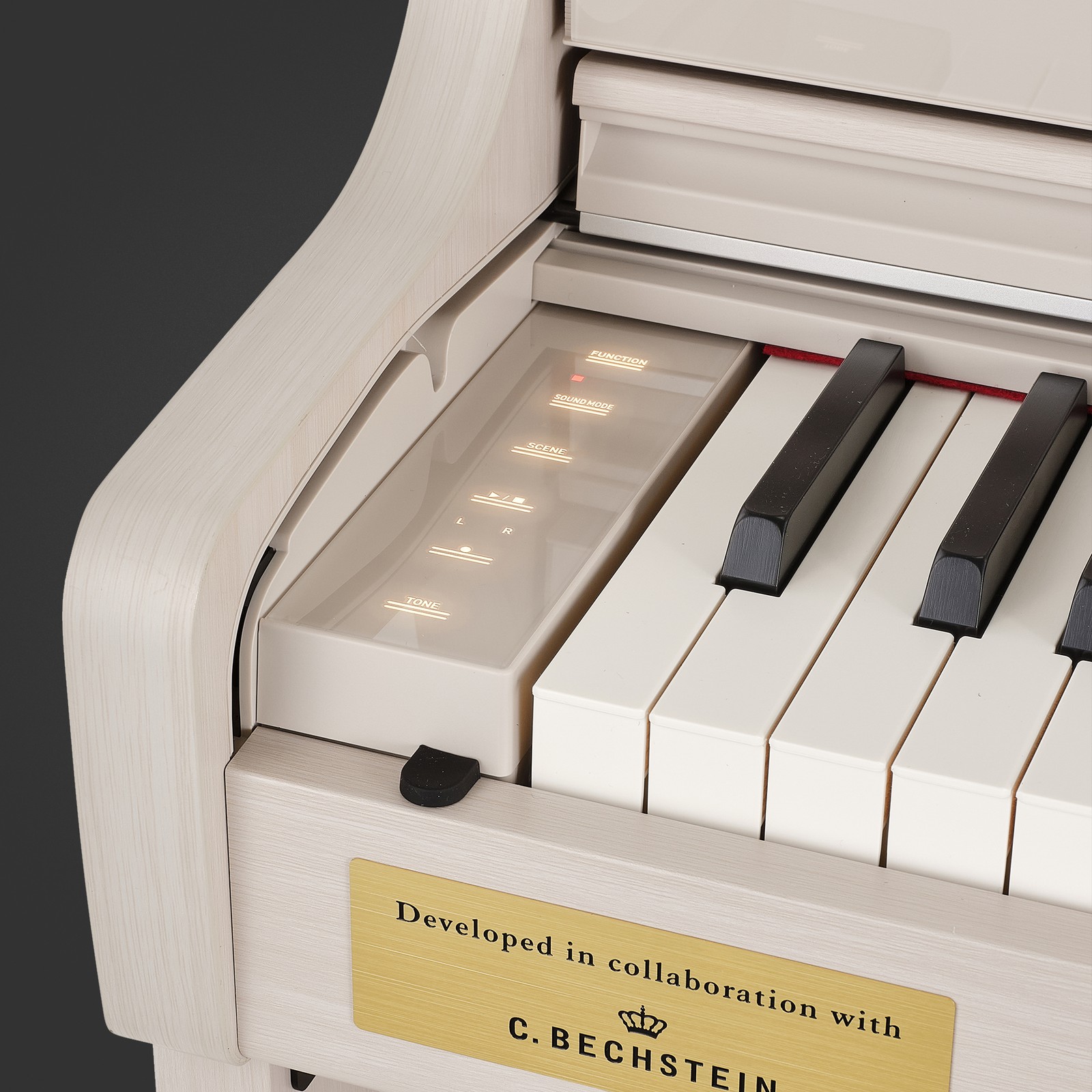 Detail des Casio AP-750 GB