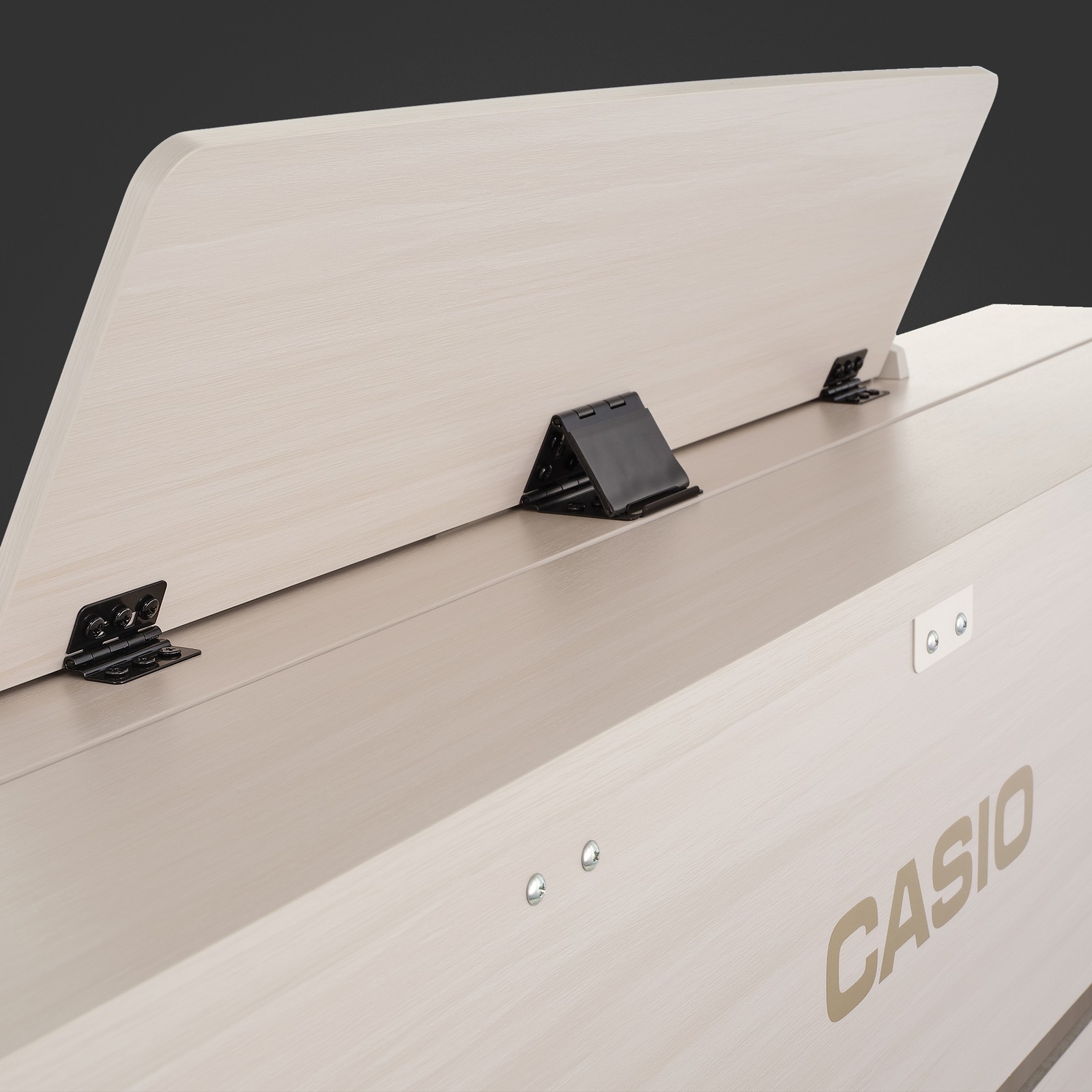 Logo auf dem Casio AP-750 GB