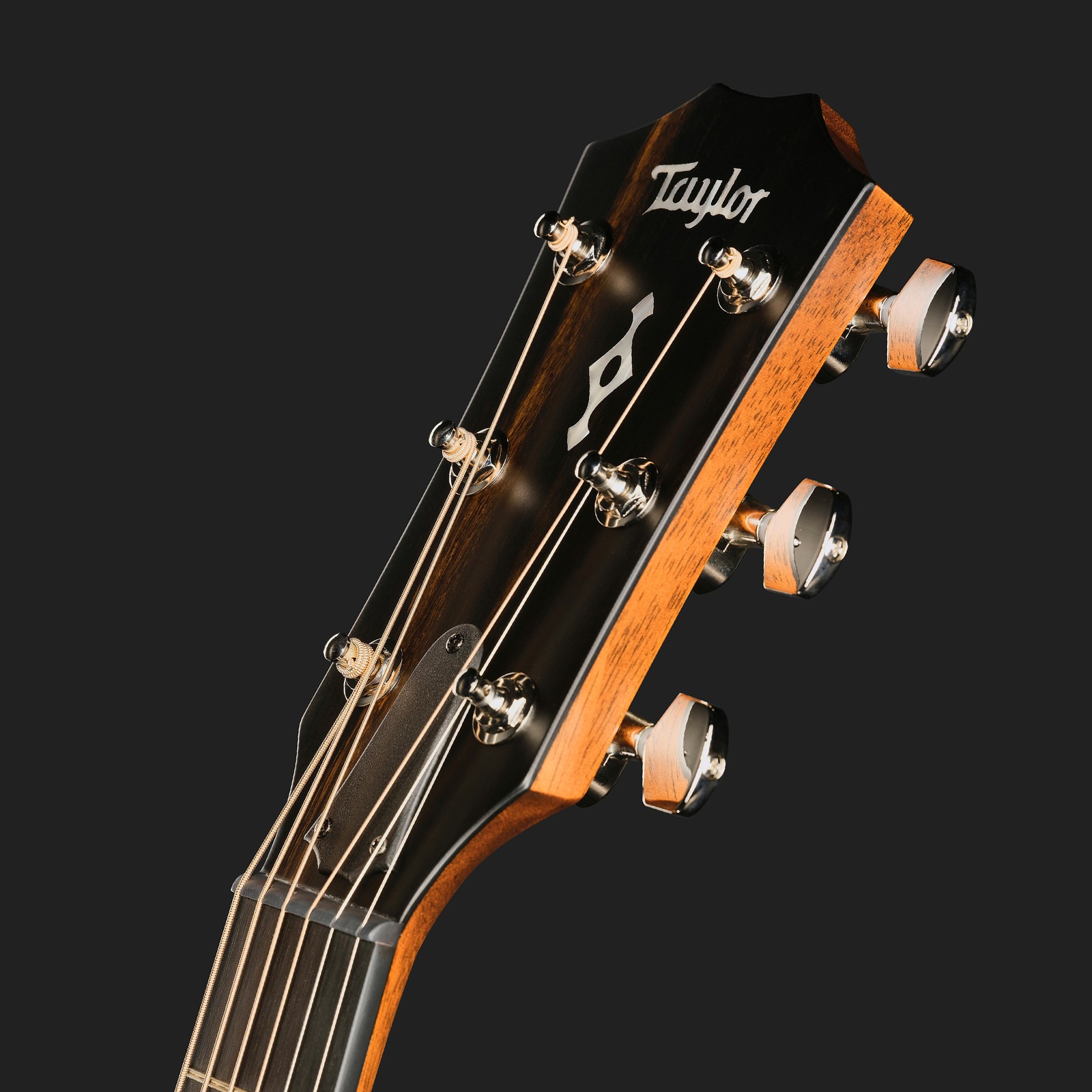 Kopfplatte der Taylor 412ce Next Generation