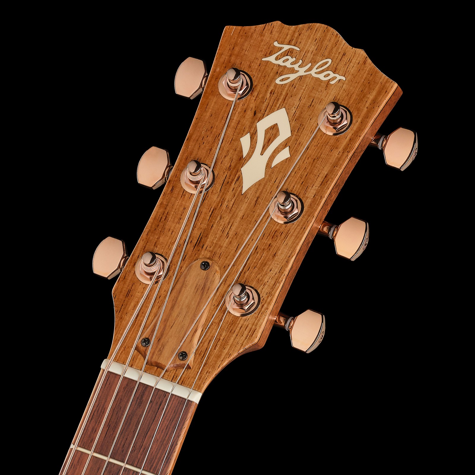 Taylor Ben Harper Gold Label 512e SEB, Kopfplatte