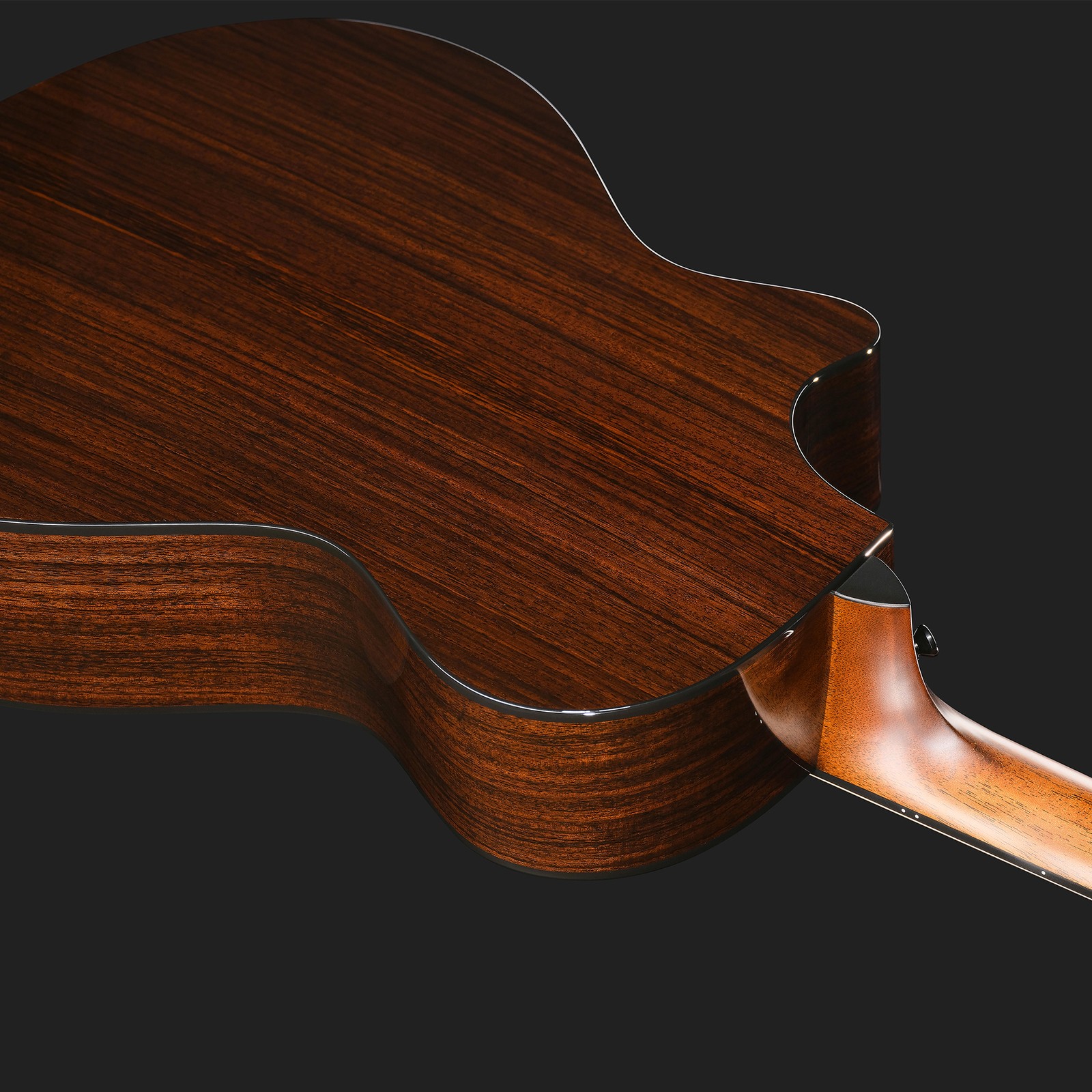 Rückseite der Taylor 412ce Next Generation