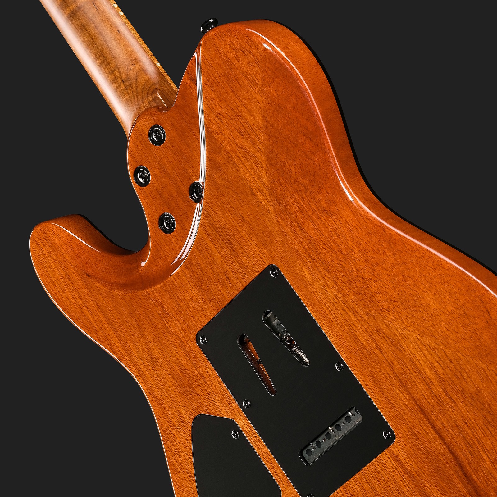 Rückseite der Harley Benton Fusion-T II HH MN WM