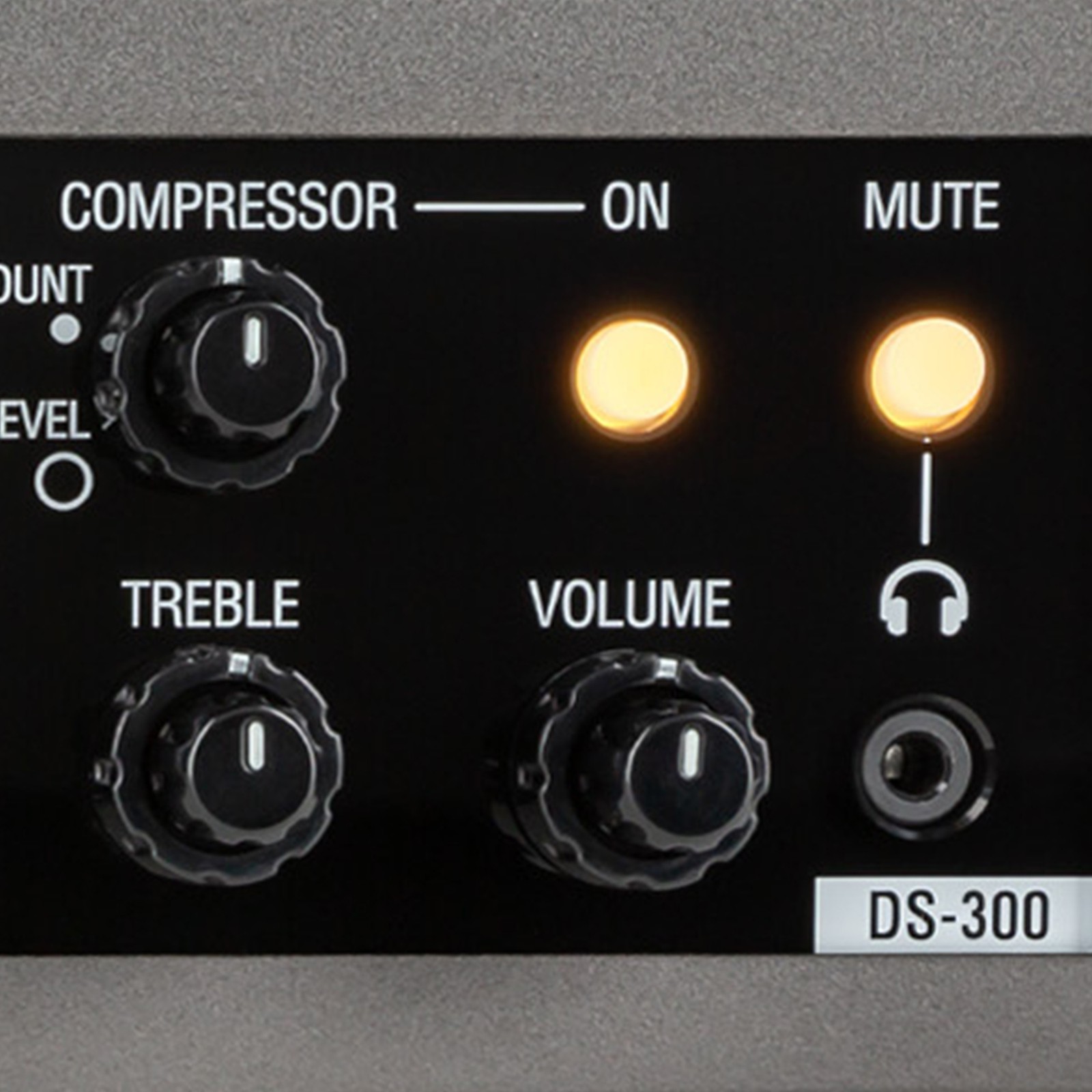 Warwick Stage Series DS 300, Detail des Topteil für E-Bass