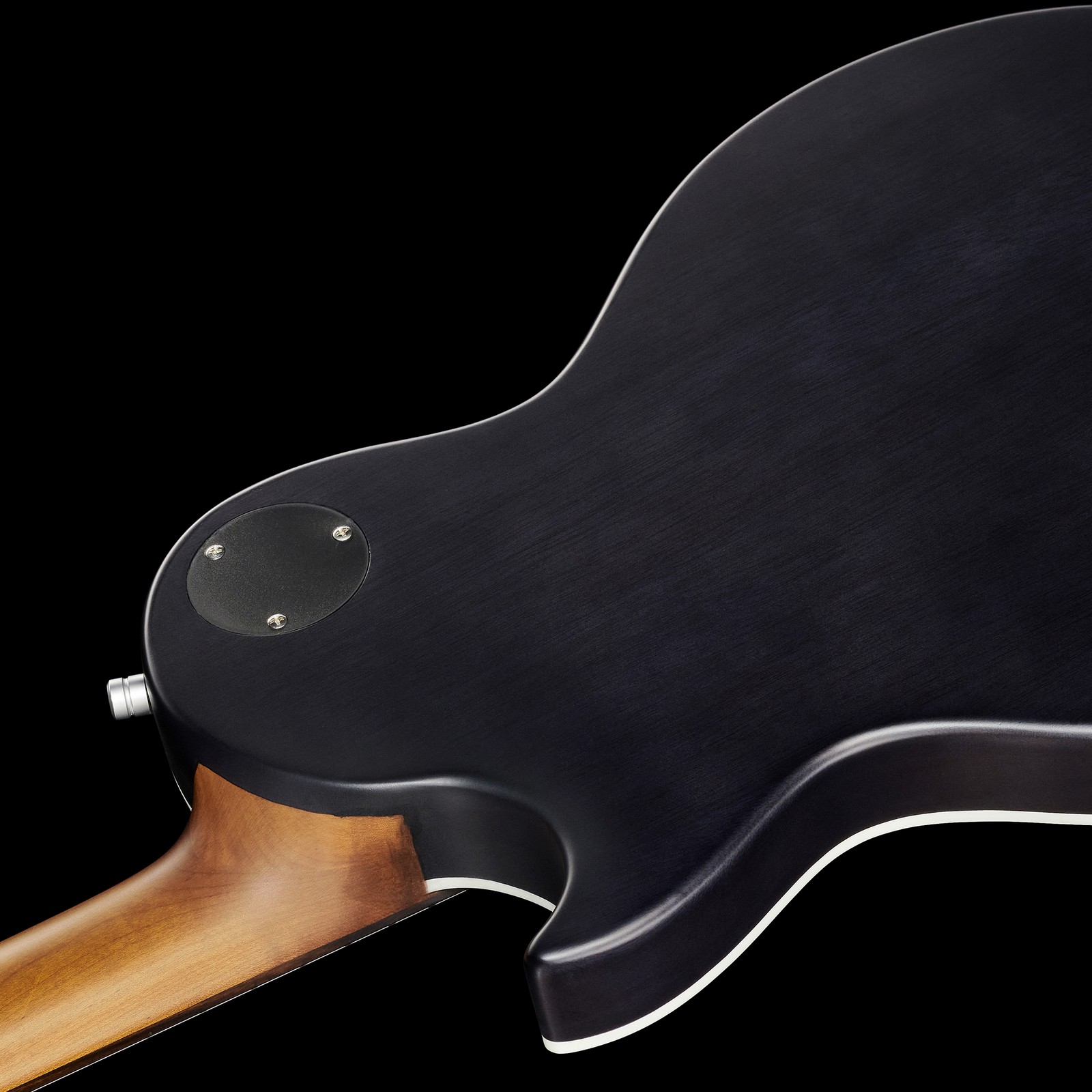 Rückseite der Harley Benton Agufish Custom Signature BT PB