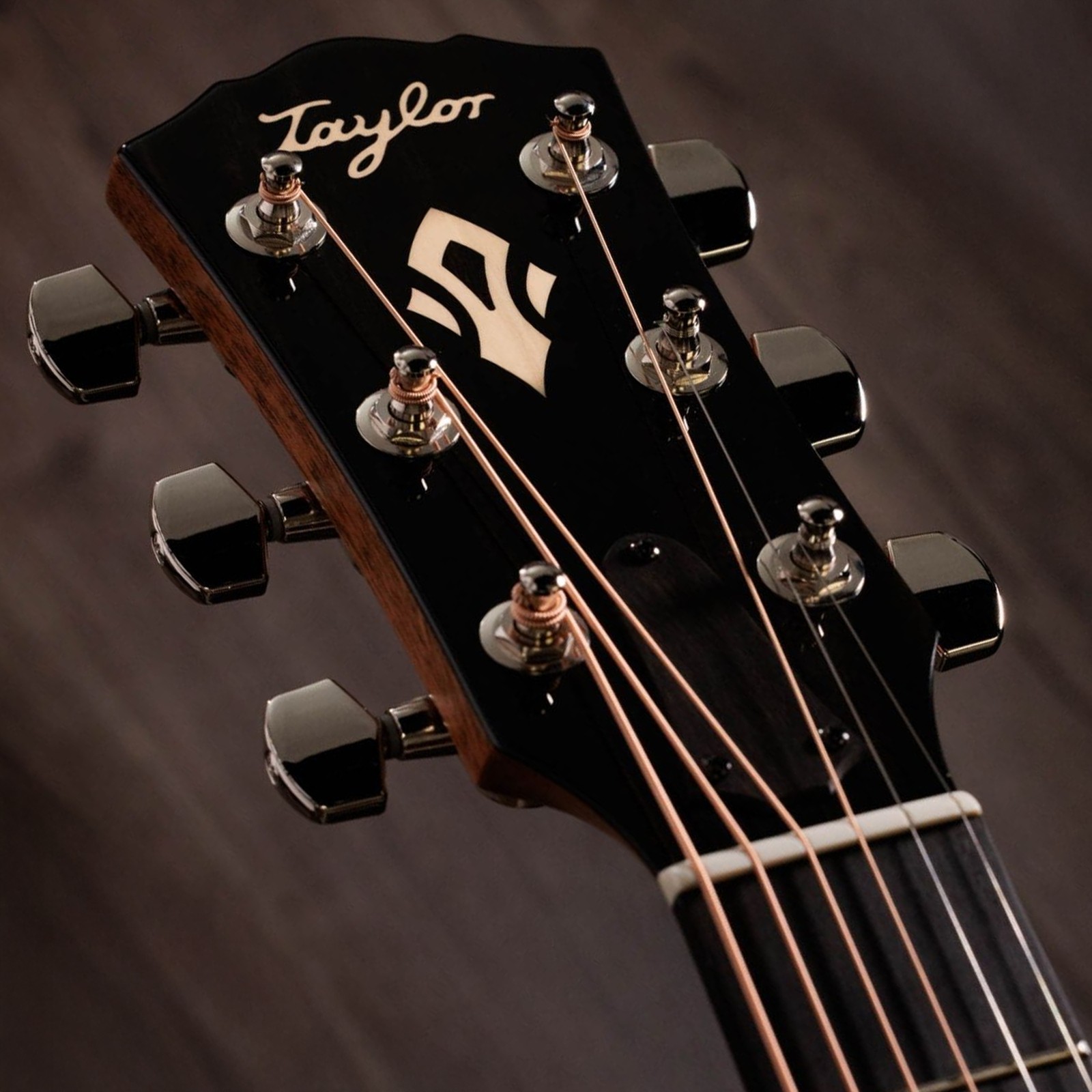 Taylor Gold Label 517e, Kopfplatte