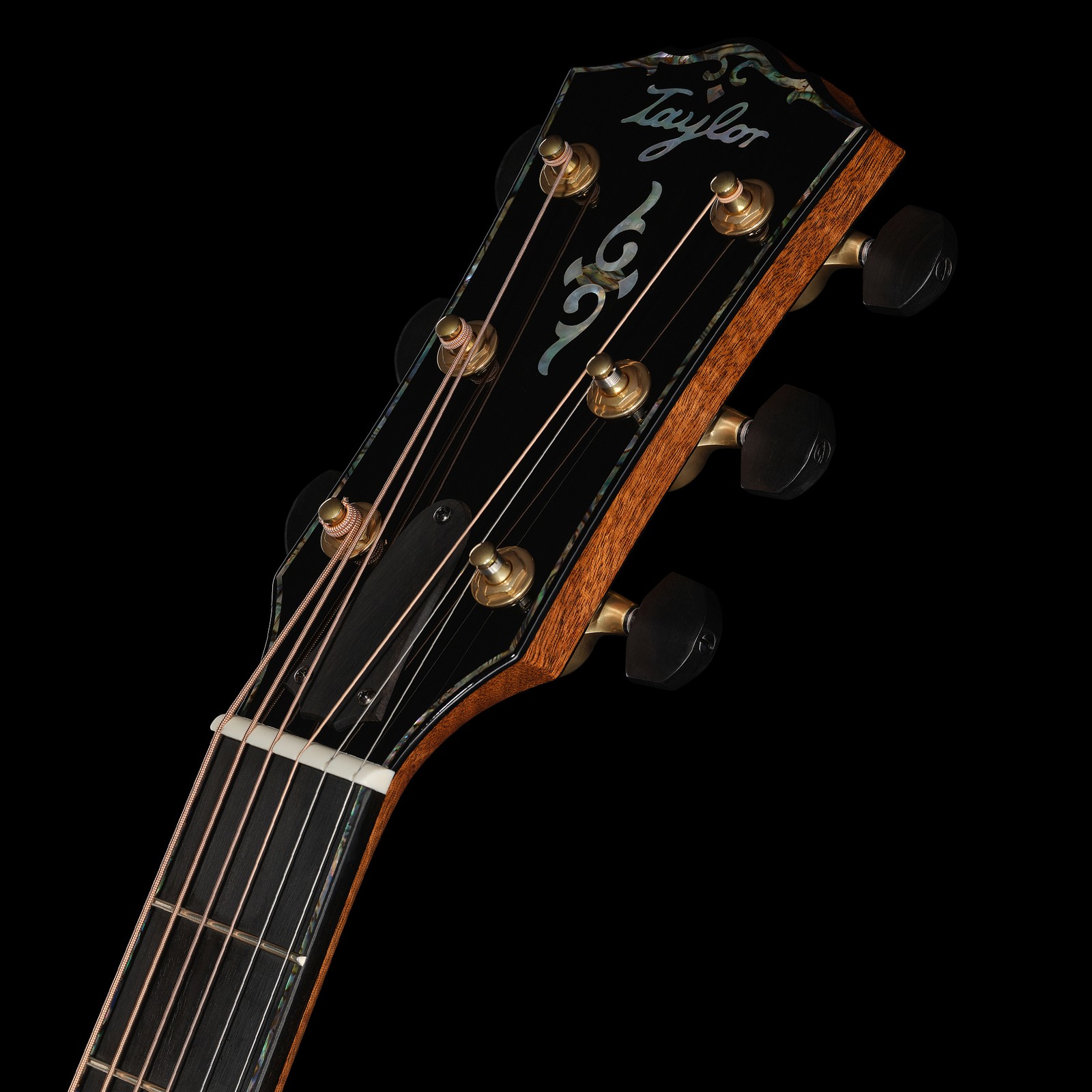 Kofplatte der Taylor Gold Label 917e Westerngirarre
