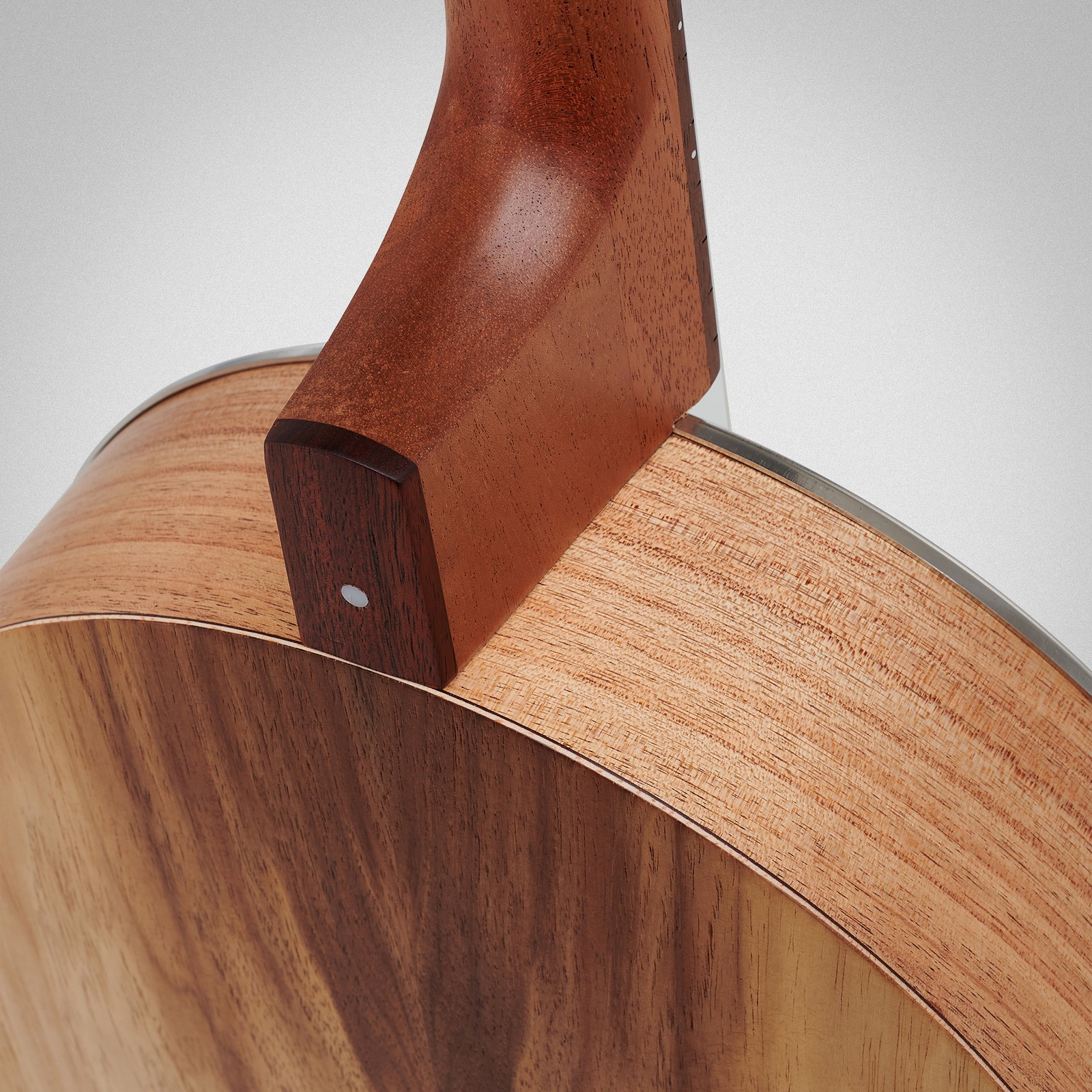 Rückseite der Thomann Ukulele Banjo