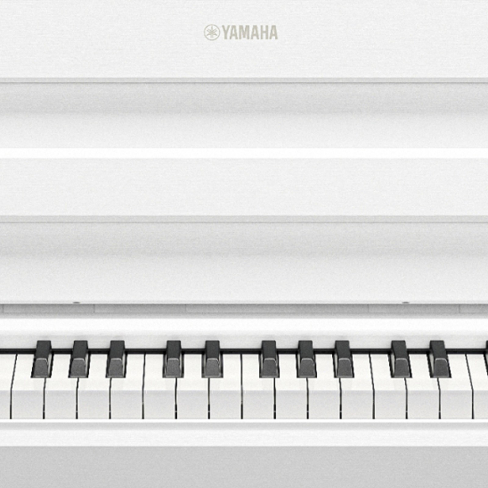 Logo auf dem Yamaha YDP-S36 WH Arius