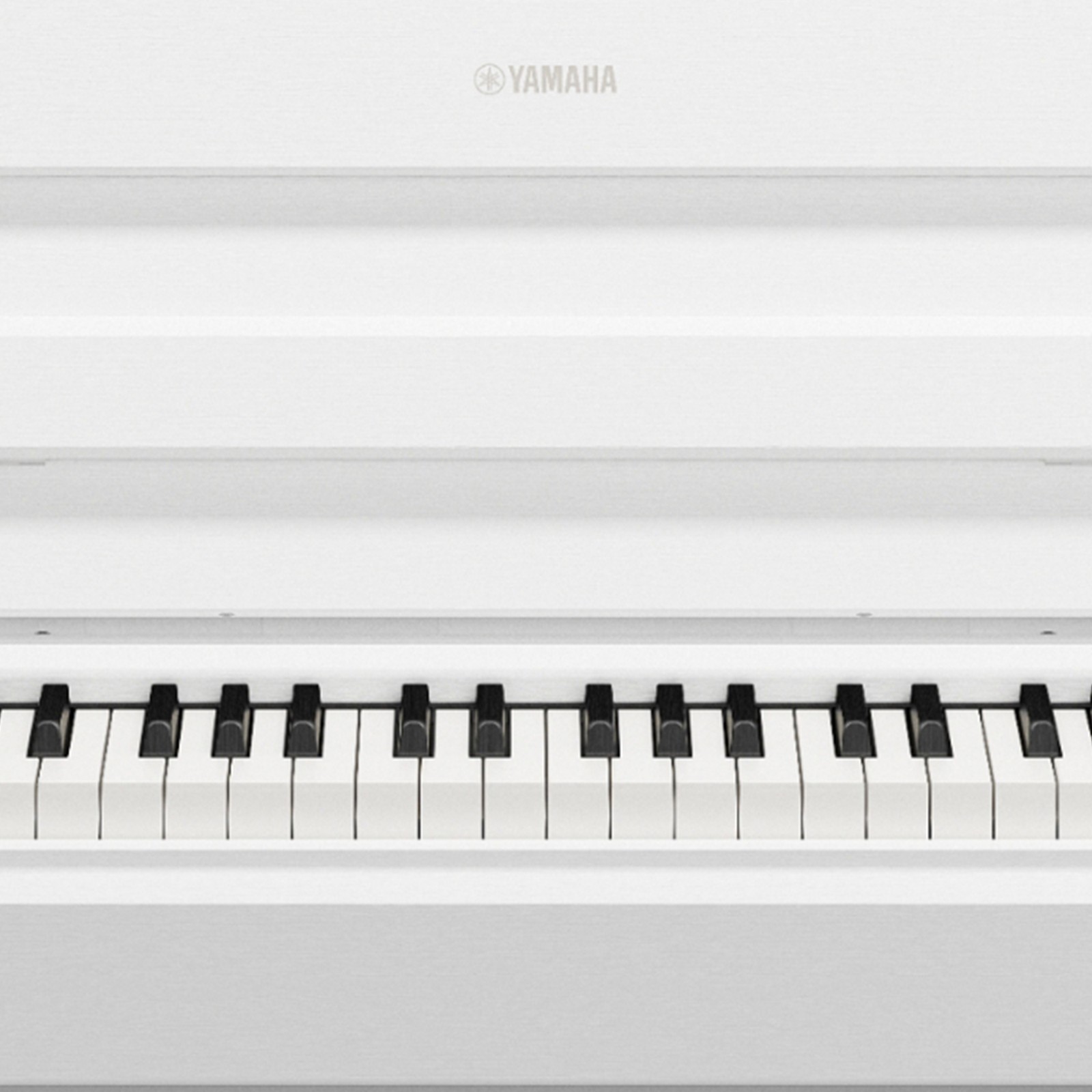 Logo auf dem Digitalpiano