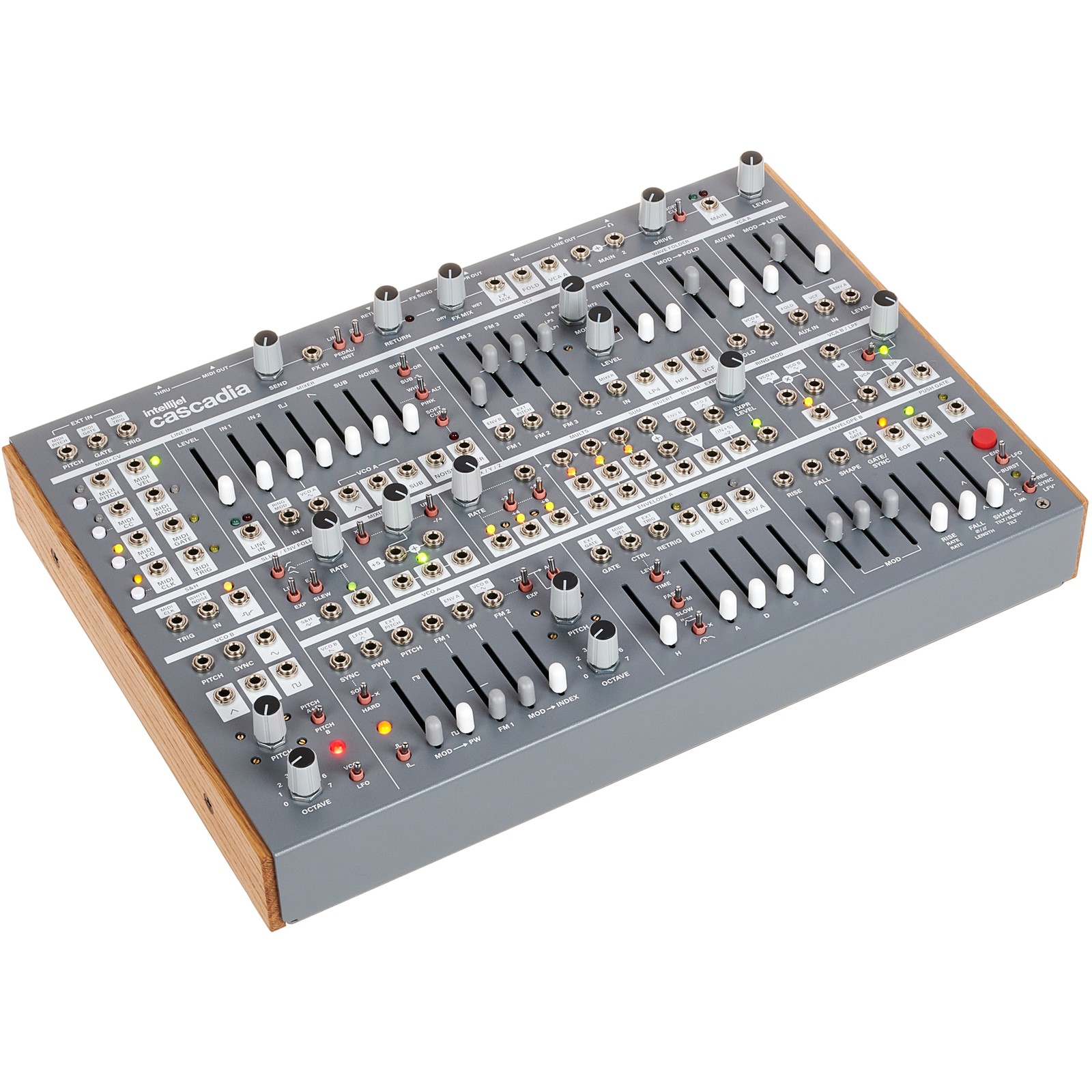 Intellijel Designs Cascadia