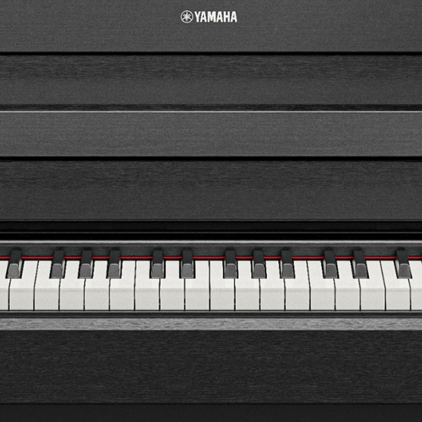 Logo auf dem Yamaha YDP-S36 B Arius