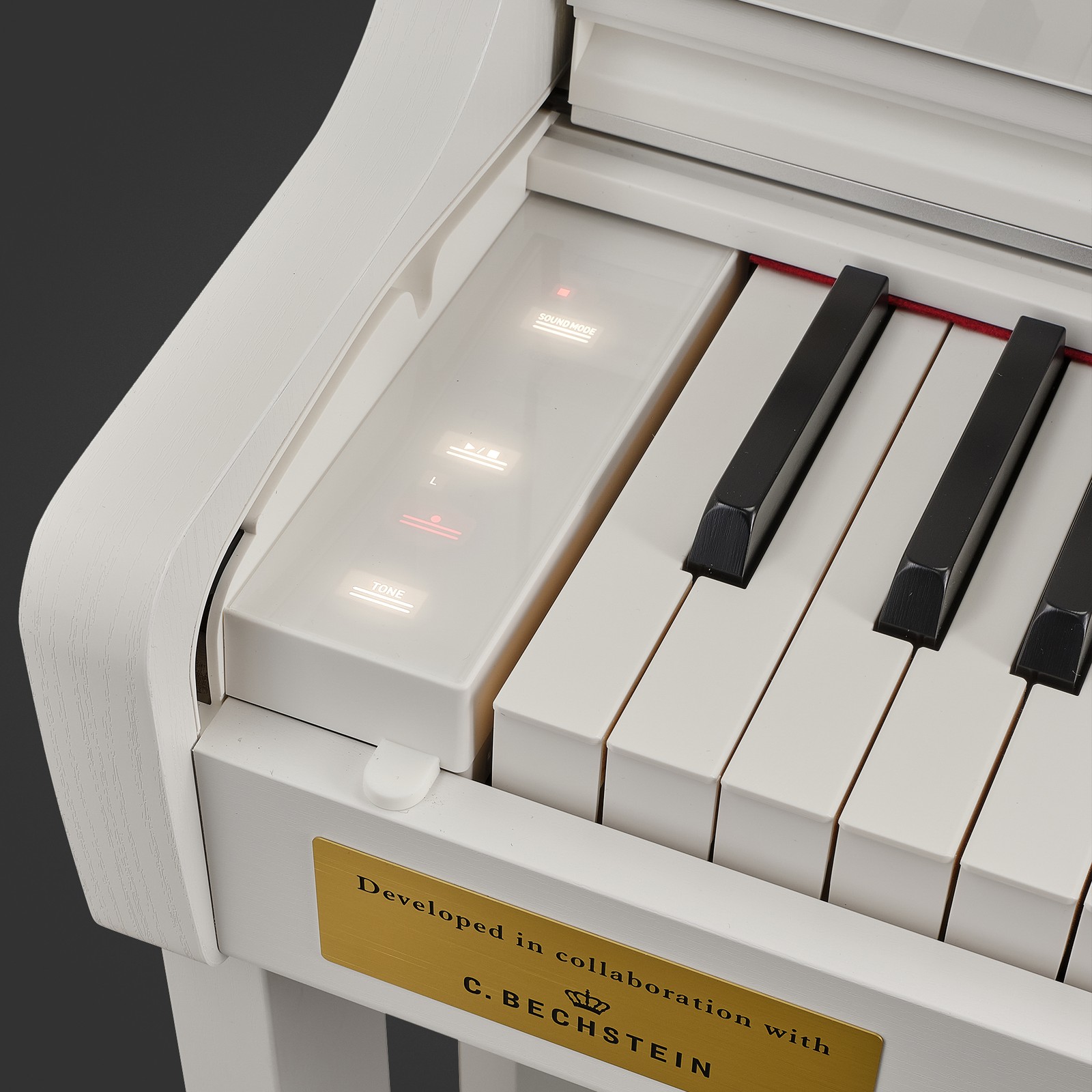 Detail des Digitalpiaons