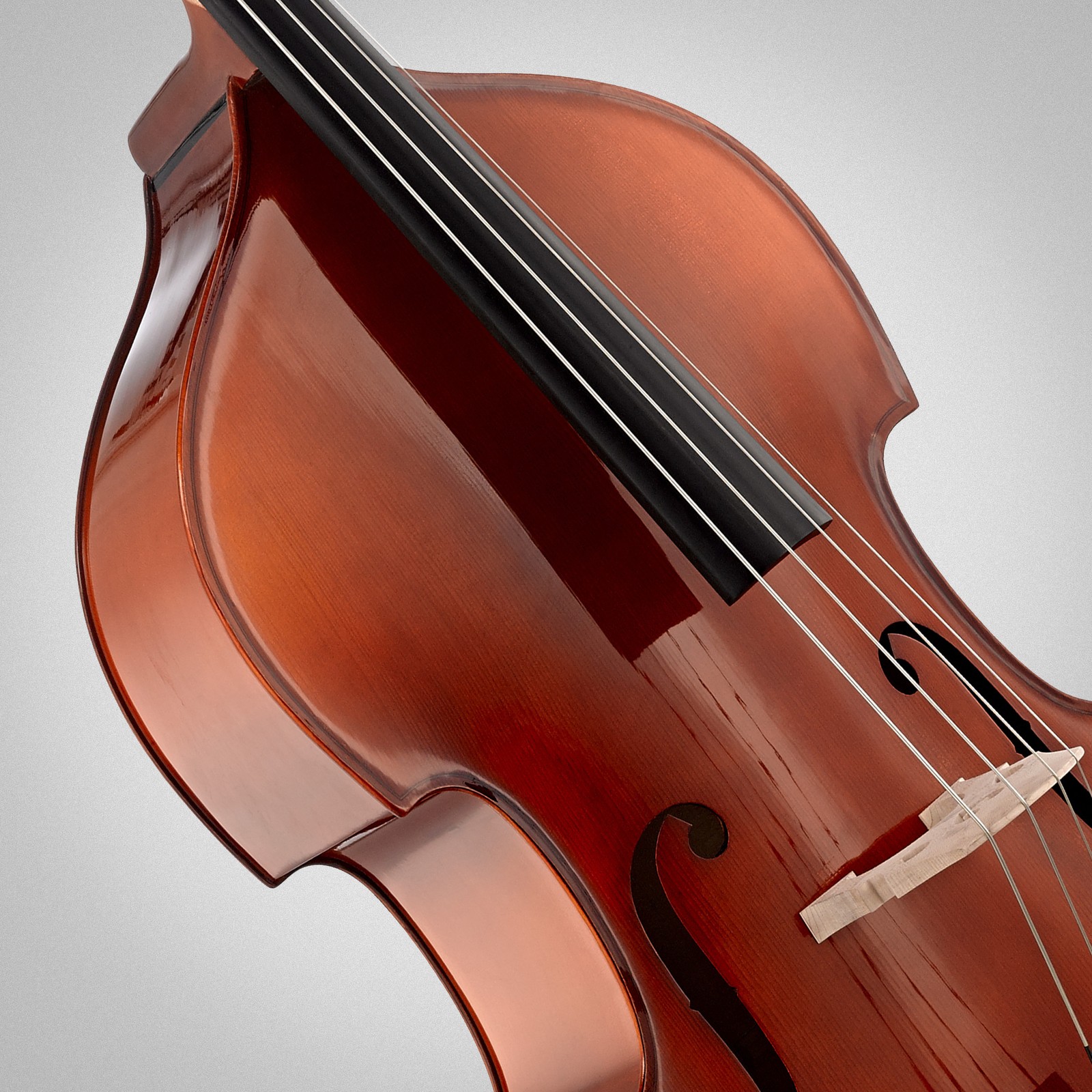 Decke des Thomann 44 4/4 Europe Double Bass