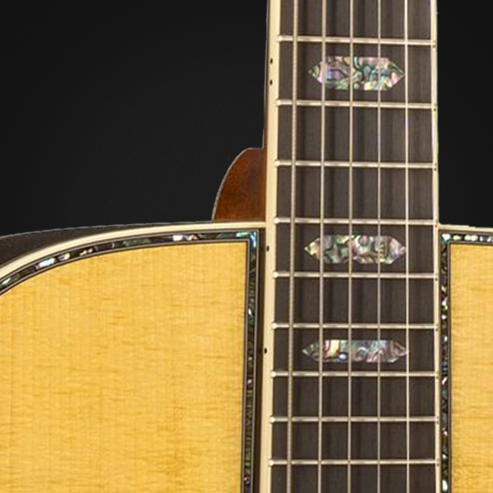 Detail der Martin Guitars OM45