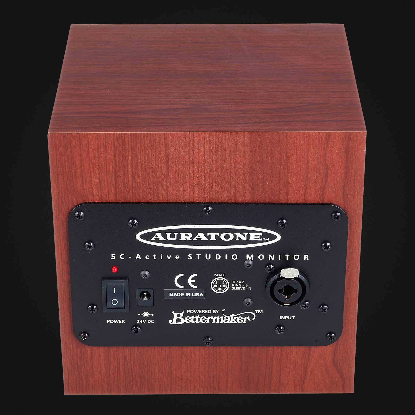 Auratone 5C Active Sound Cube Single back panel