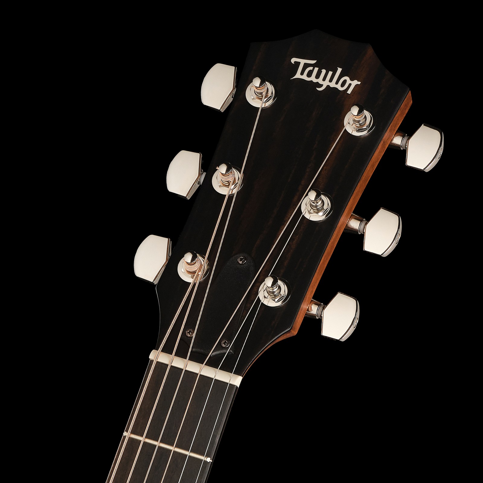 Kopfplatte der Taylor 314ce Studio SEB